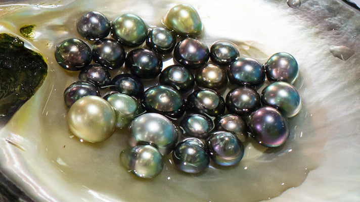 The Ultimate Guide to Authenticating and Appraising Black Pearls