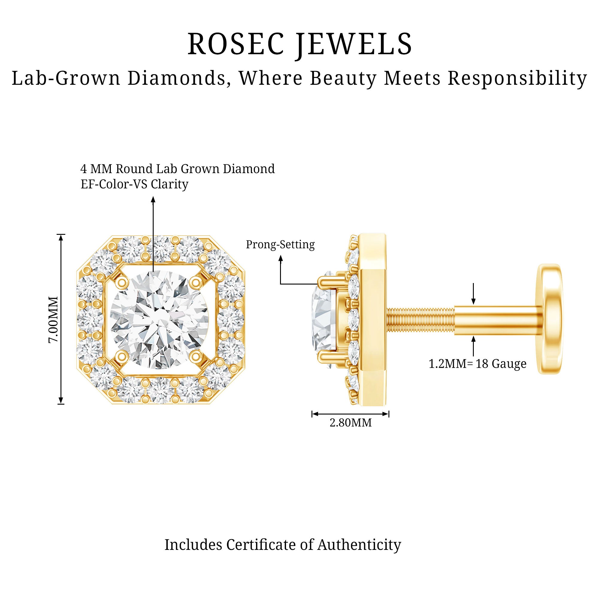 Simple Octagon Shape Diamond Helix Earring Lab - ( EF-VS ) - Rosec Jewels