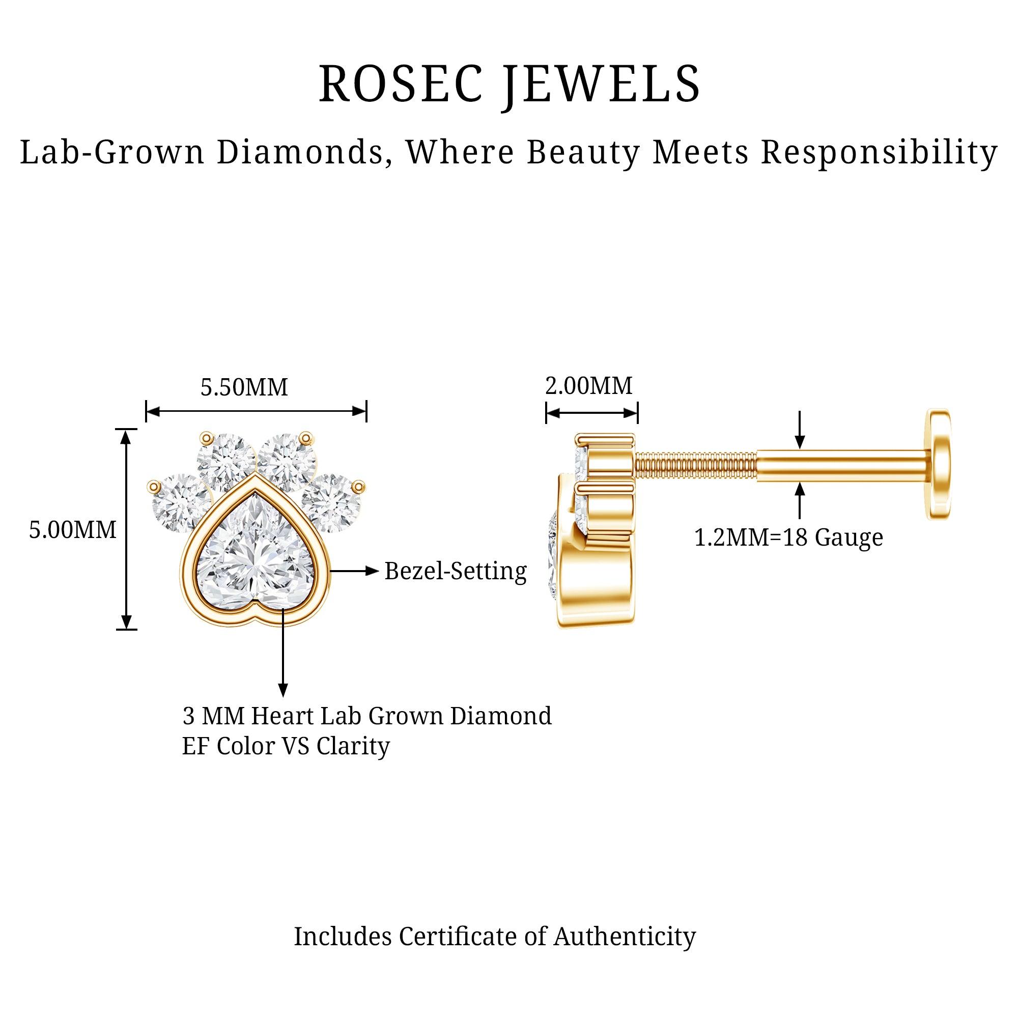 Heart Shape Diamond Dog Paw Print Earring Lab - ( EF-VS ) - Rosec Jewels