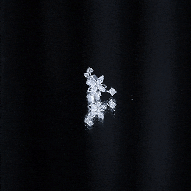 Diamond Flower Crawler Earring Natural - ( HI-SI ) - Rosec Jewels