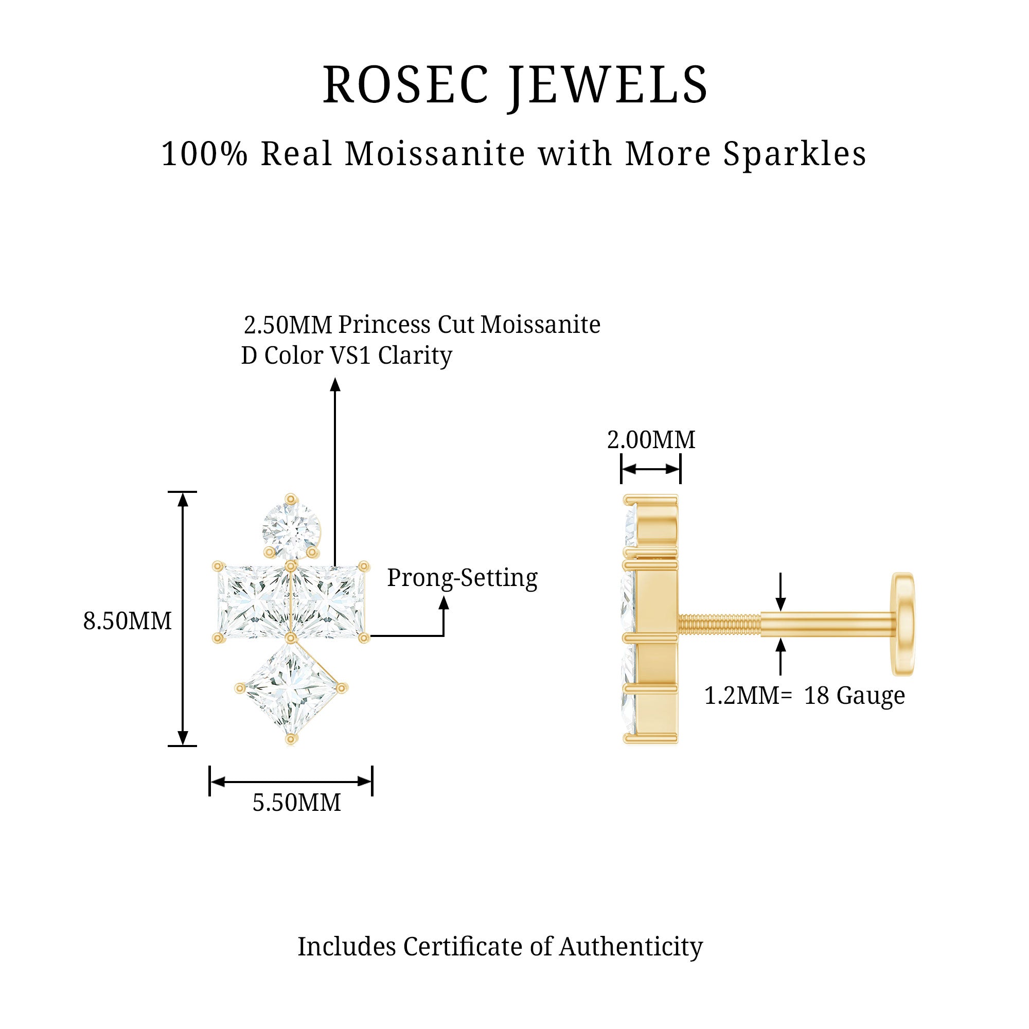 Round and Princess Cut Moissanite Cluster Helix Earring D-VS1 - Rosec Jewels