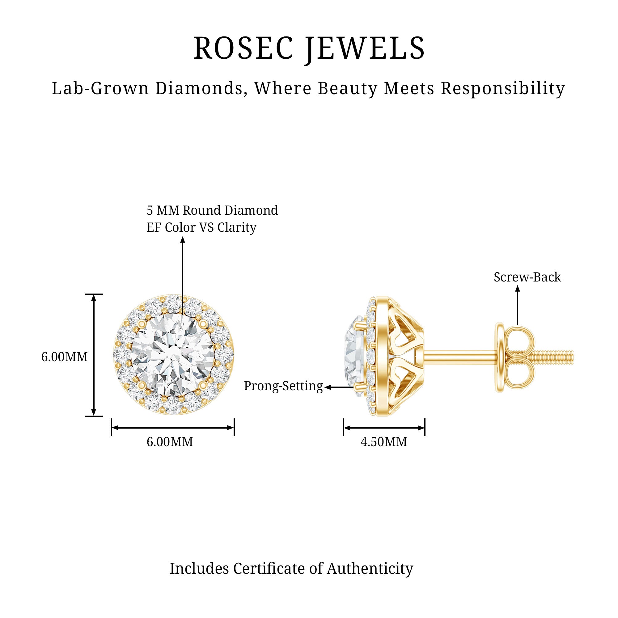 5 MM Round Lab Grown Diamond Halo Stud Earrings With Screw Back Lab - ( EF-VS ) - Rosec Jewels