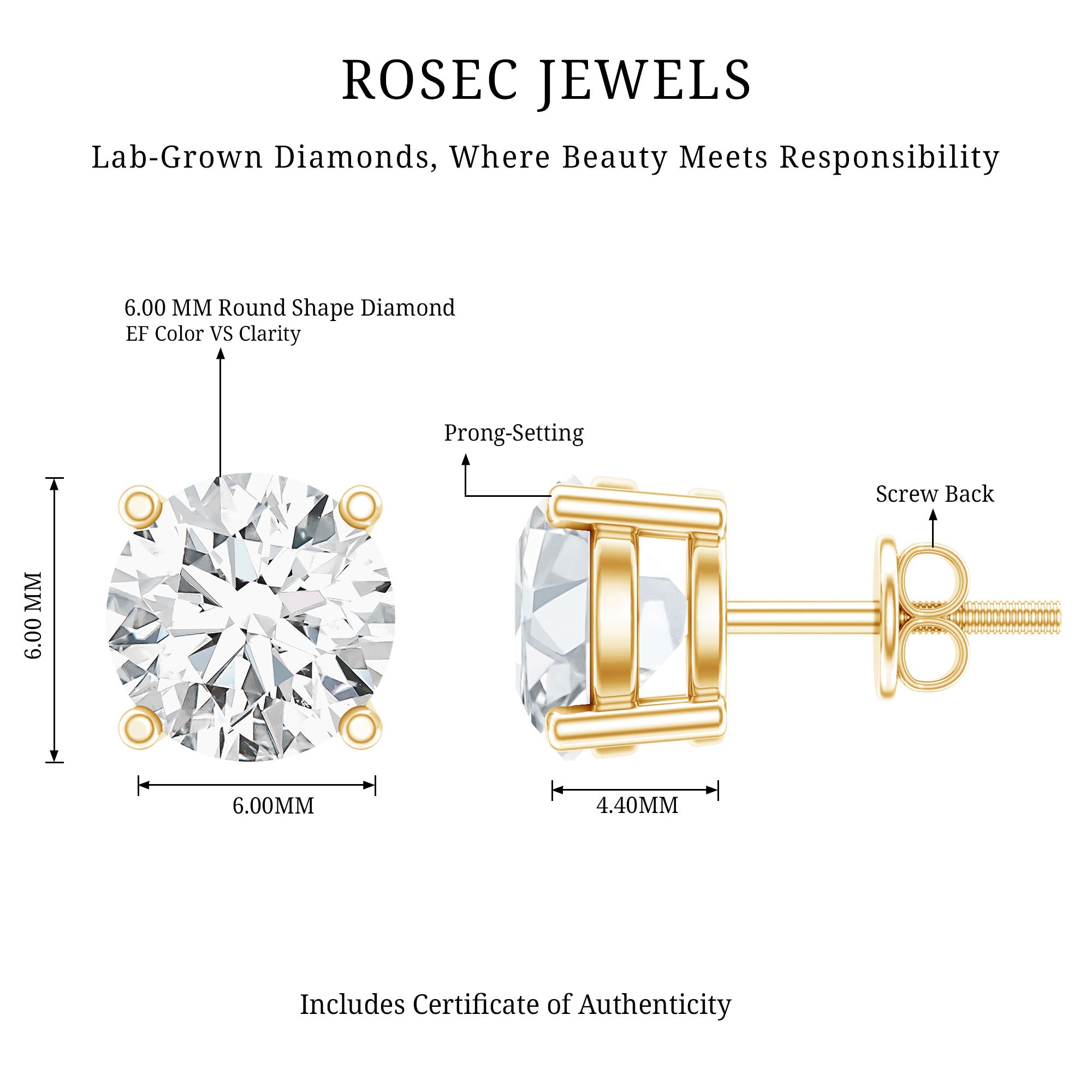 Rosec Jewels-IGI Certified 2 Carat Round Lab Grown Diamond Stud Earrings with Screw Backs