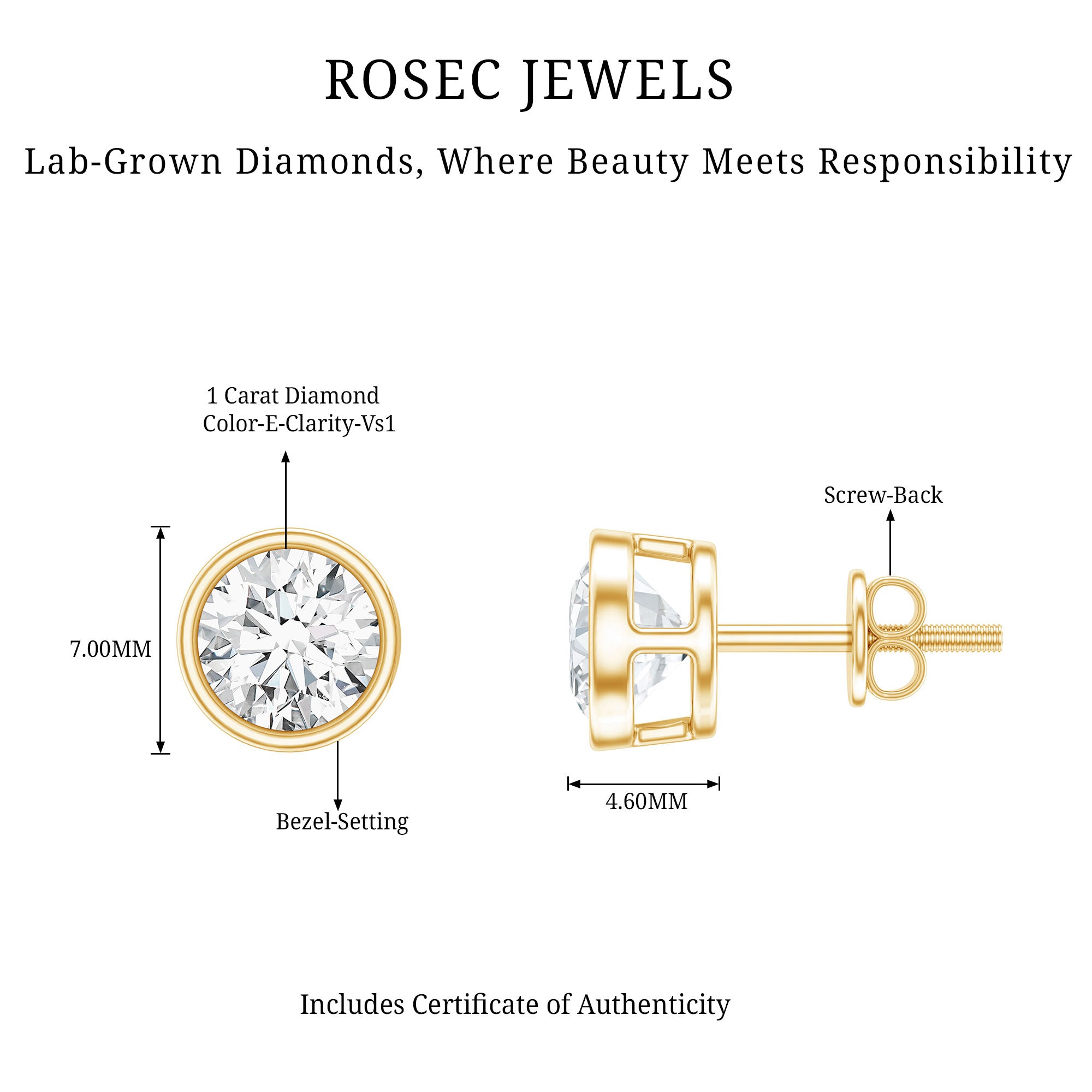 IGI Certified 2 CT Lab Grown Diamond Solitaire Stud Earrings Lab - ( E-VS1 ) - Rosec Jewels