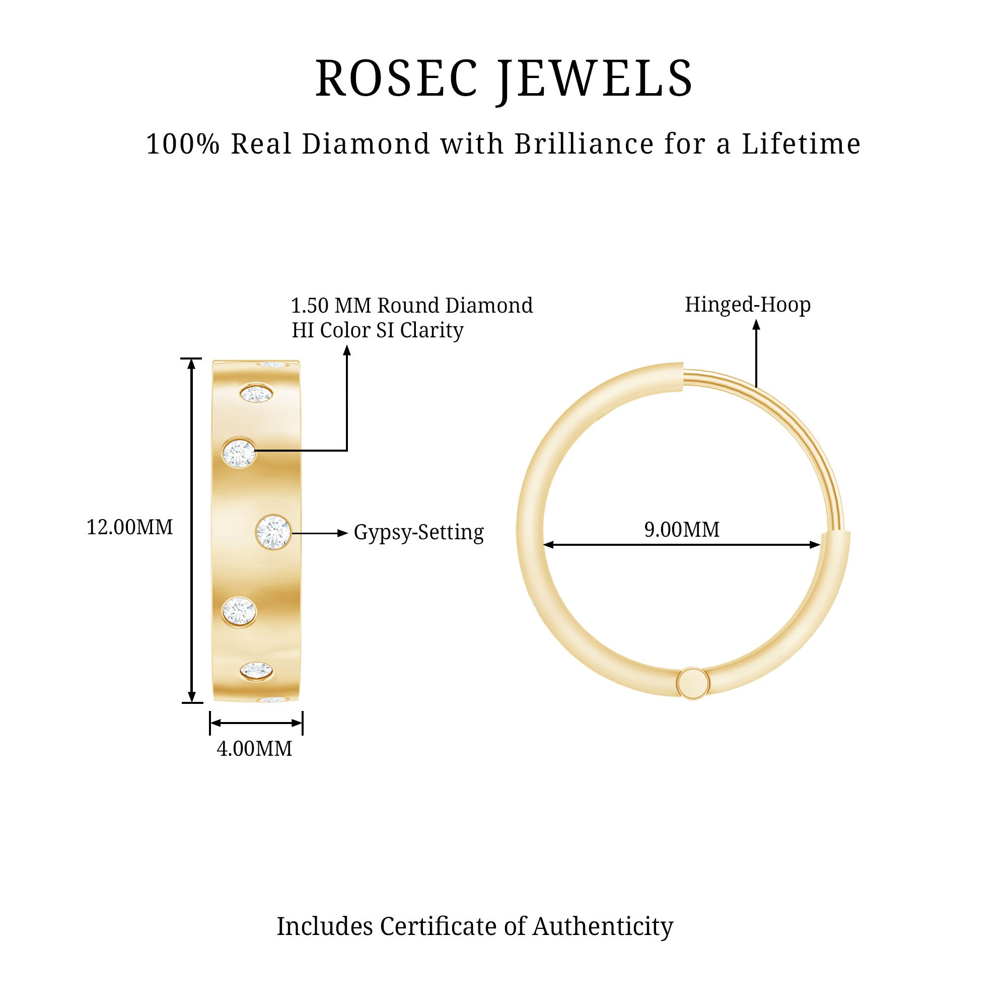 Flush Set Diamond Hoop Earrings For Women Natural - ( HI-SI ) - Rosec Jewels