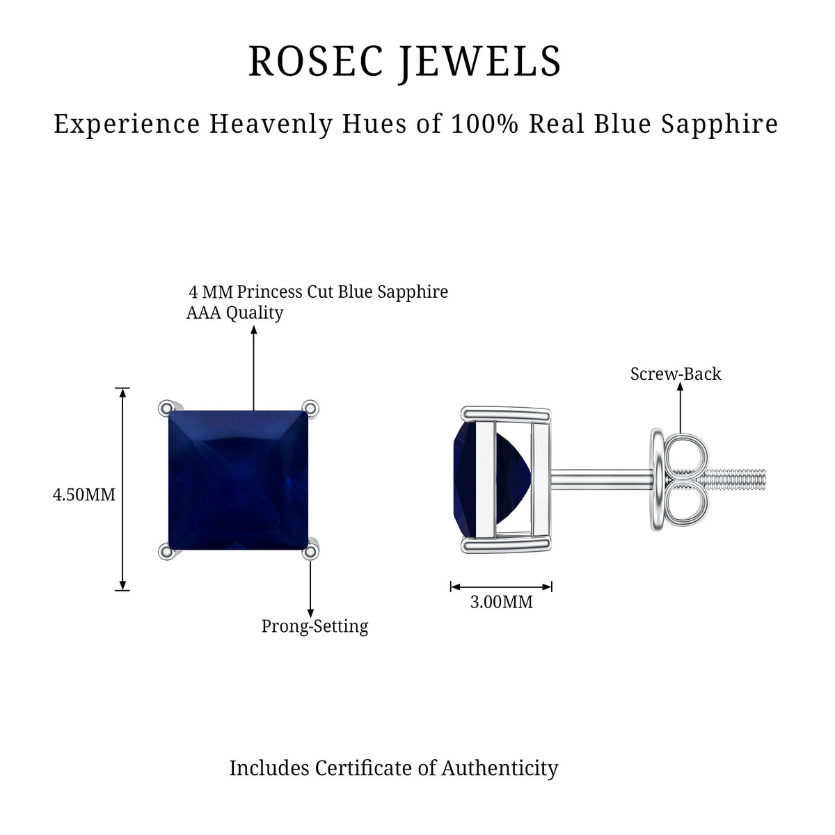 0.9 Carat Solitaire Blue Sapphire Princess Cut Stud Earrings AAA - Rosec Jewels