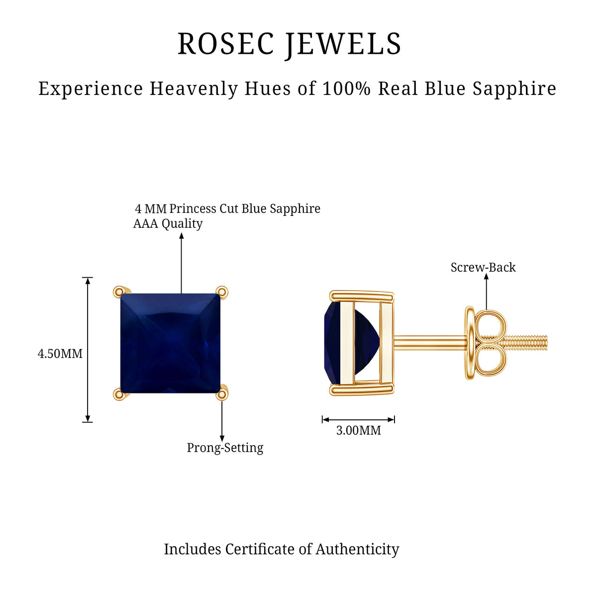 0.9 Carat Solitaire Blue Sapphire Princess Cut Stud Earrings AAA - Rosec Jewels