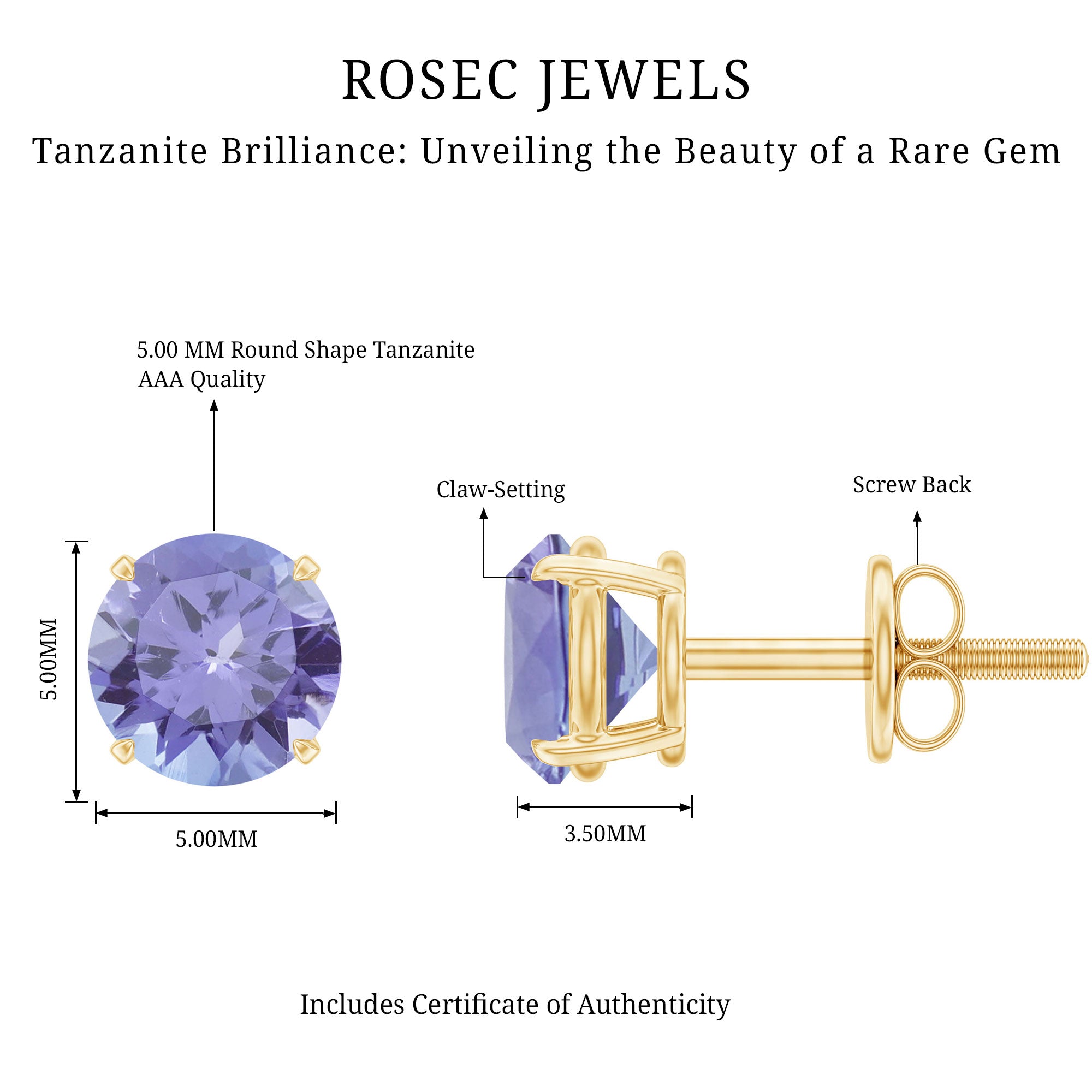 1 Carat Round Cut Tanzanite Stud Earrings for Women AAA - Rosec Jewels