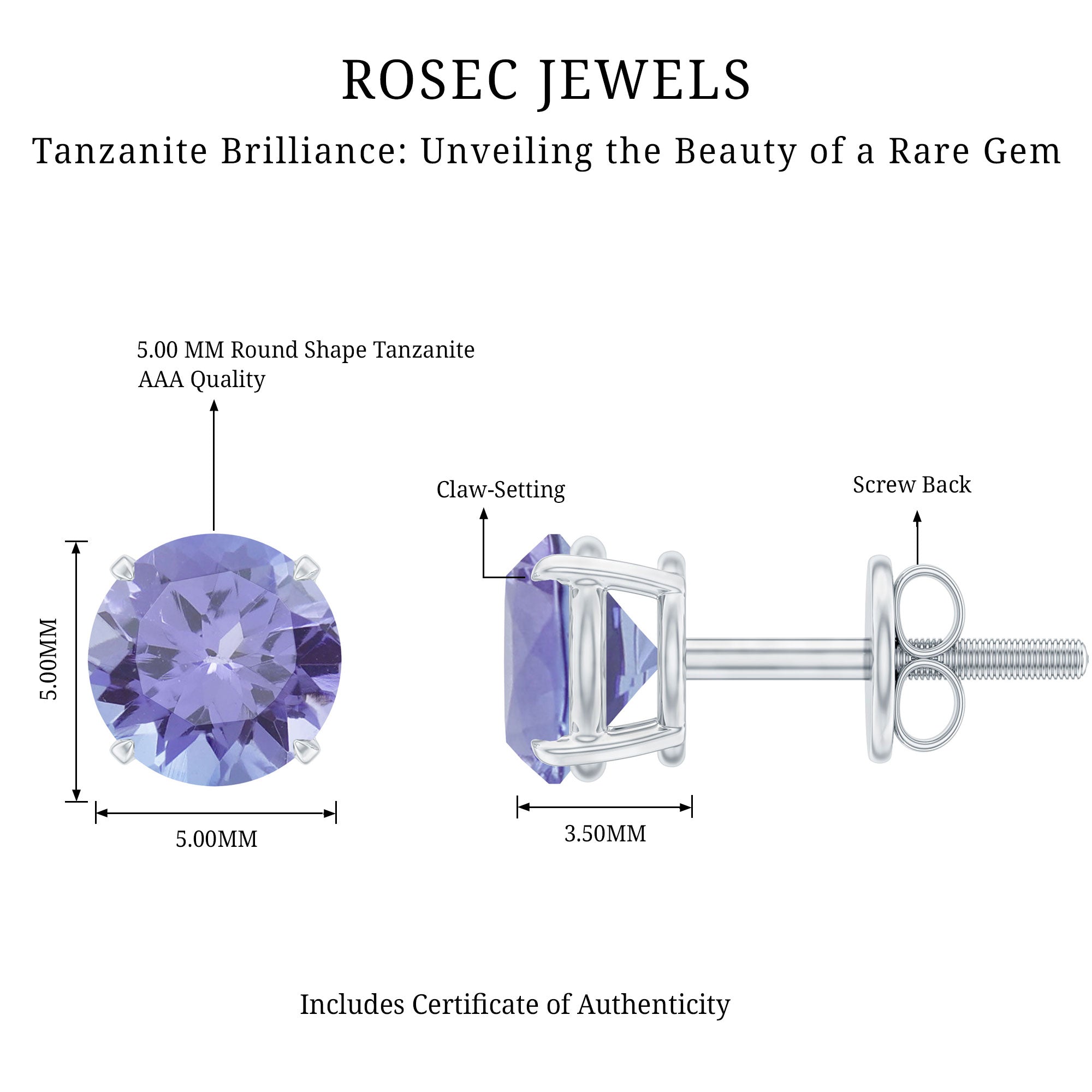 1 Carat Round Cut Tanzanite Stud Earrings for Women AAA - Rosec Jewels