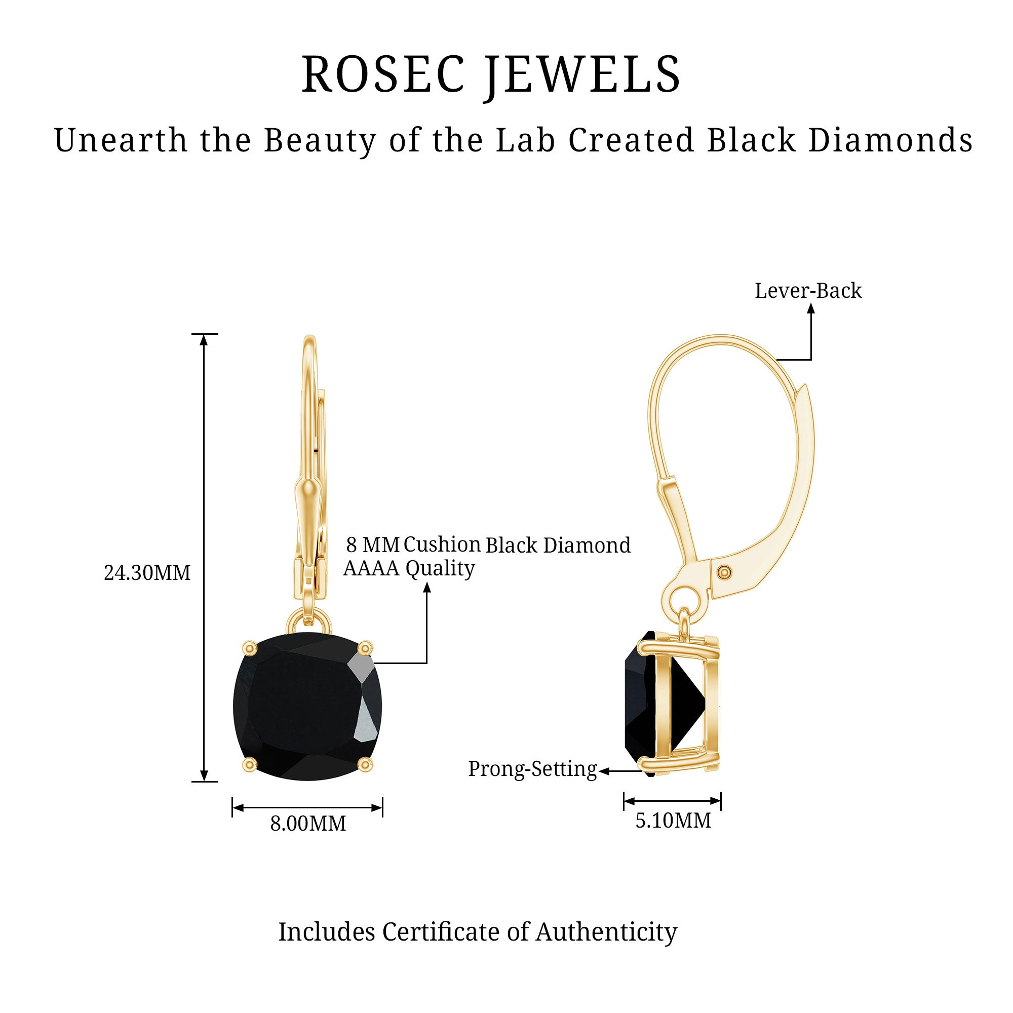 Lab Created Black Diamond Drop Earrings with Lever Back AAAA ( Synthetic ) - Rosec Jewels