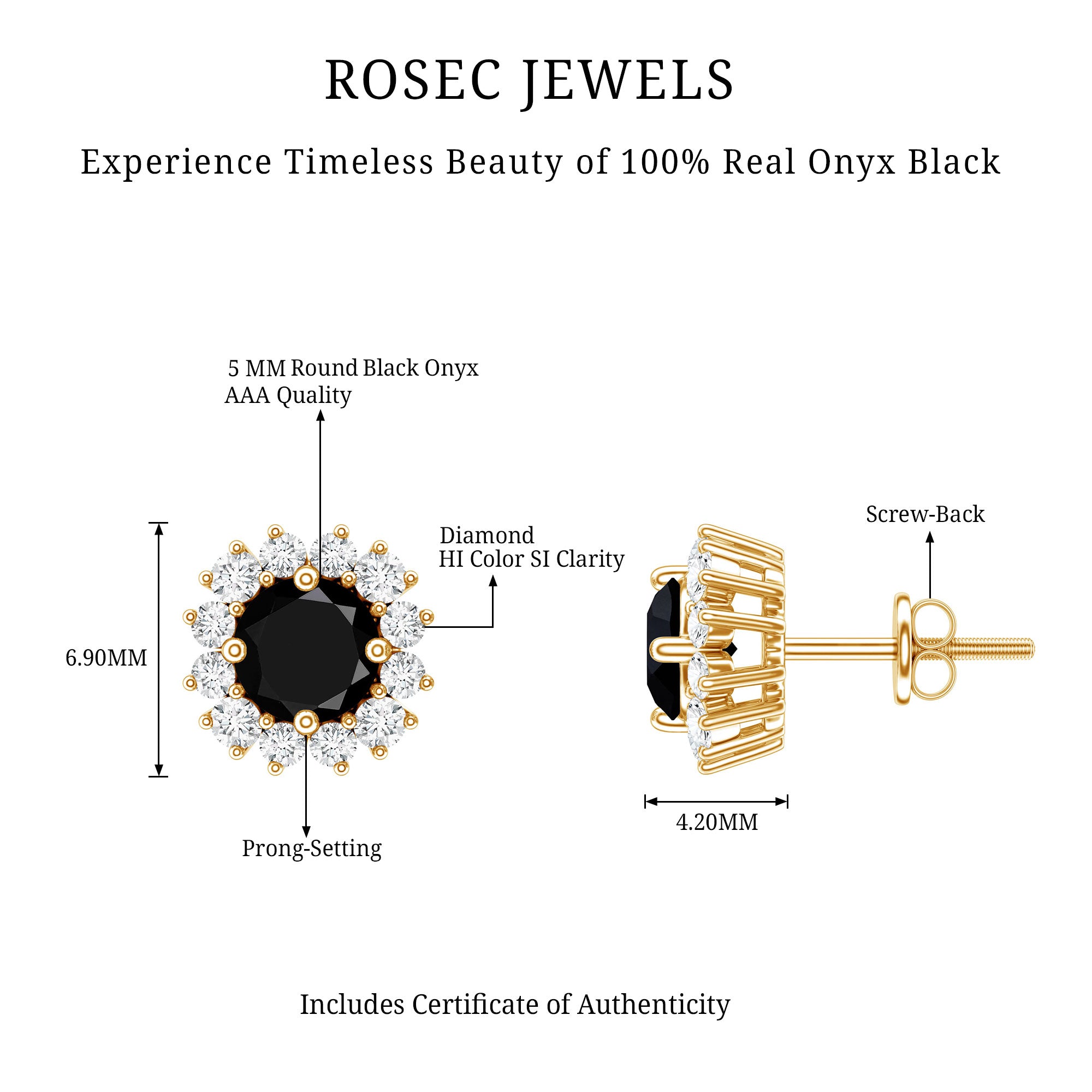 Certified Natural Black Onyx Stud Earrings with Diamond Halo AAA - Rosec Jewels