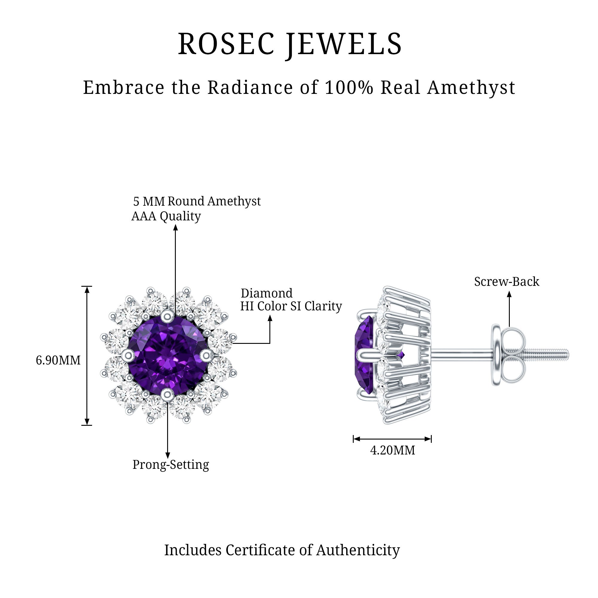 Classic Amethyst Stud Earrings with Diamond Halo AAA - Rosec Jewels