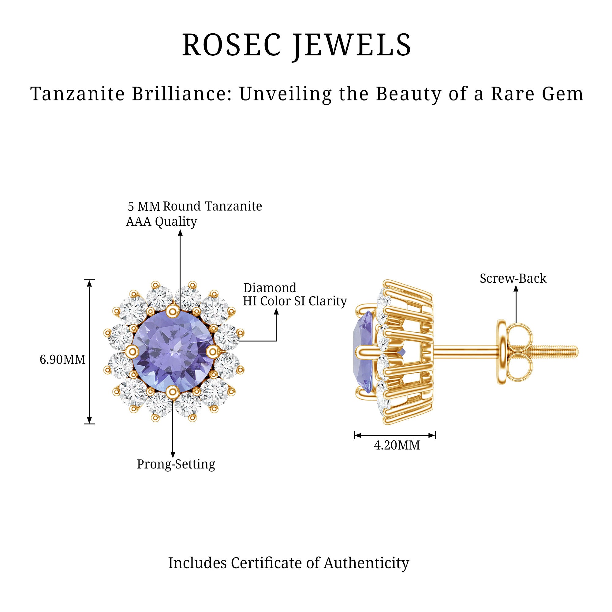 Natural 1 Carat Tanzanite Stud Earrings with Diamond Halo AAA - Rosec Jewels