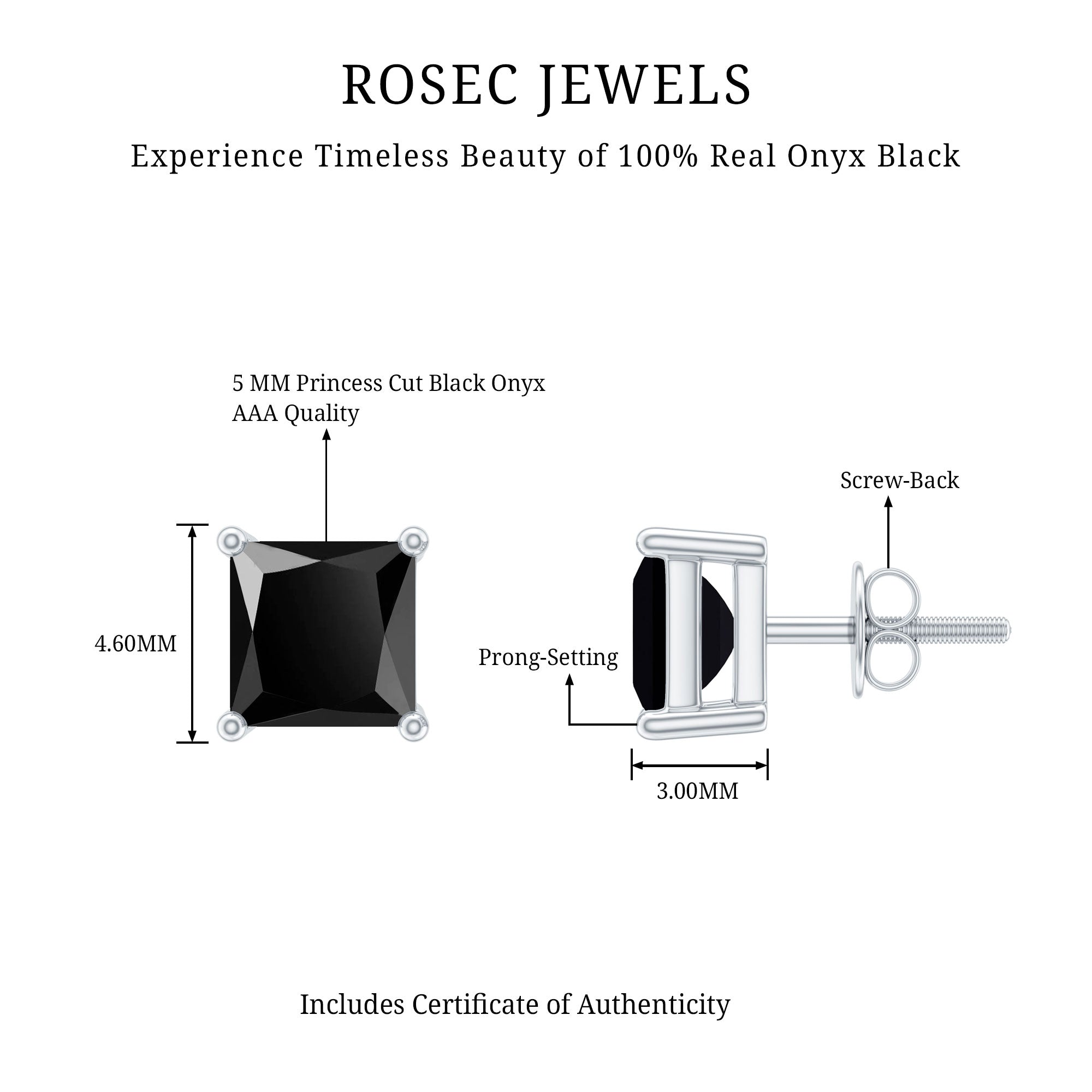 Natural Black Onyx Princess Cut Earrings with Screw Back AAA - Rosec Jewels
