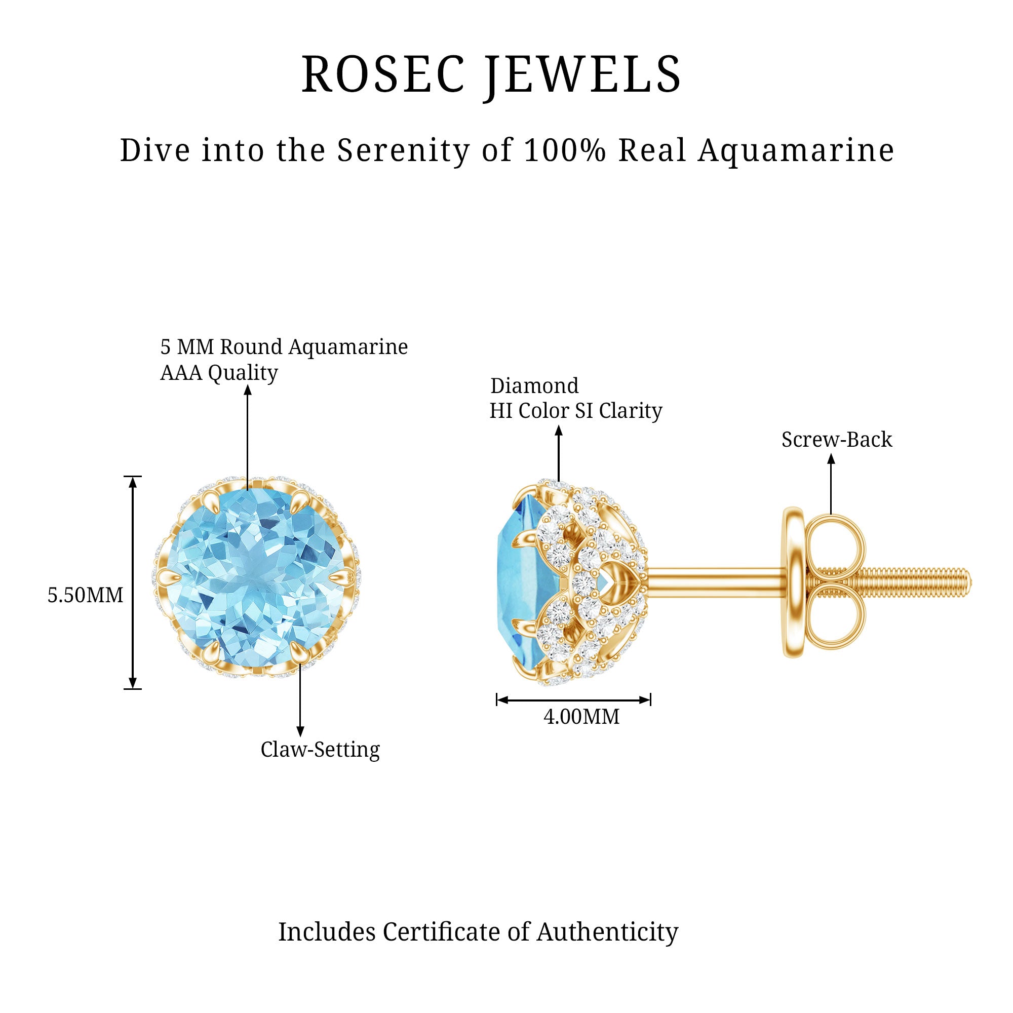 Natural Aquamarine Diamond Floral Stud Earrings with Screw Back AAA - Rosec Jewels