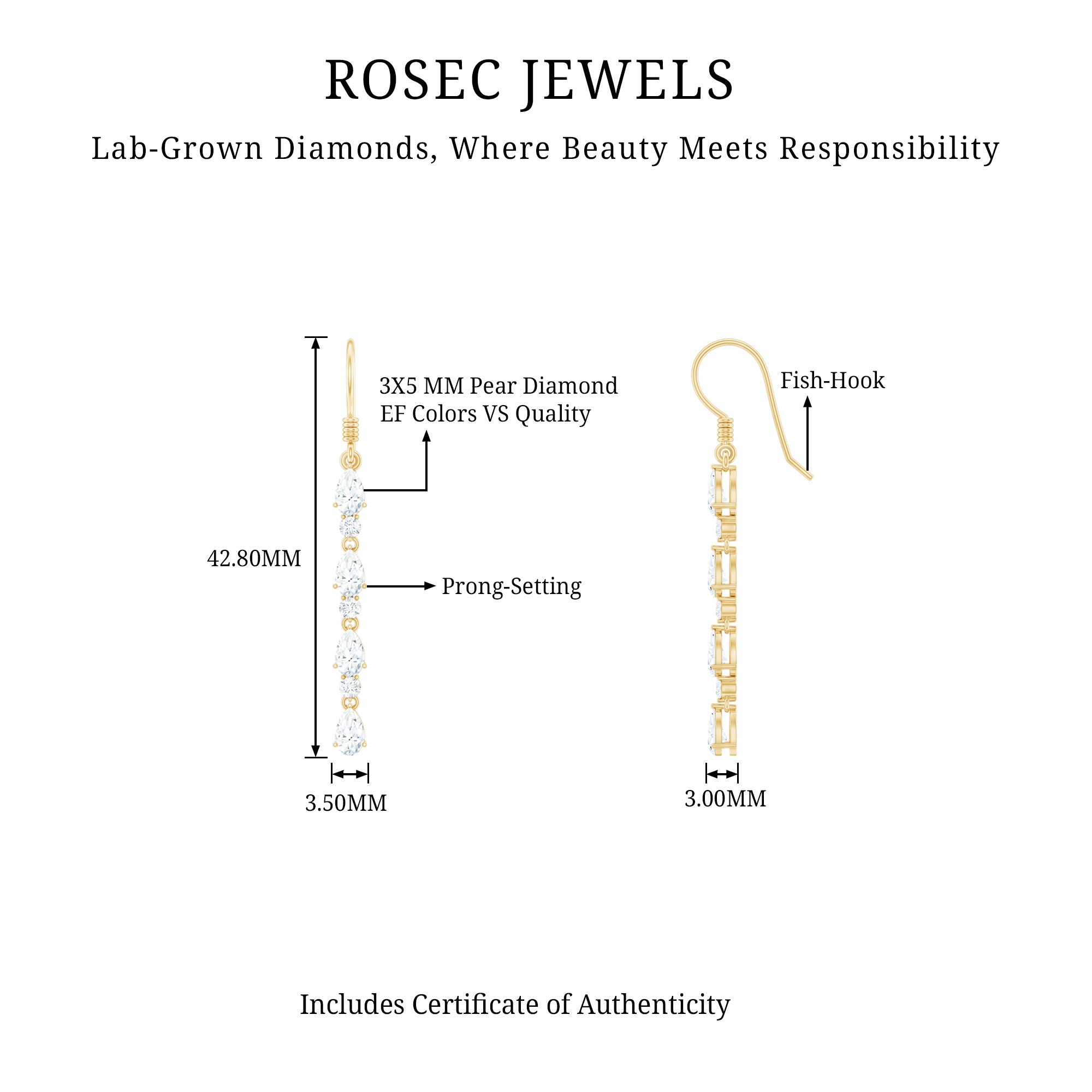 Rosec Jewels-Lab Grown Diamond Long Dangling Earrings