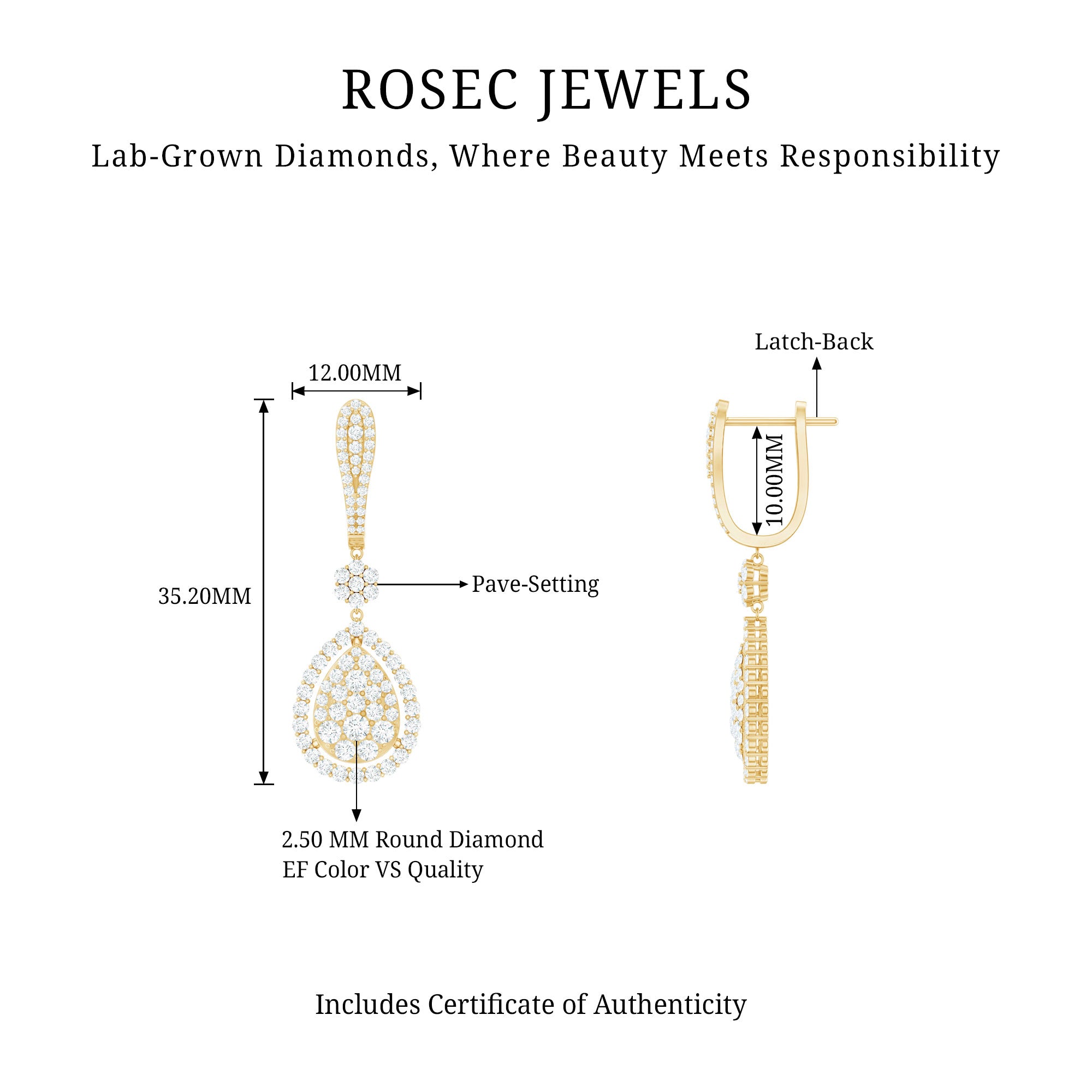 Rosec Jewels-Lab Grown Diamond Bridal Drop Earrings
