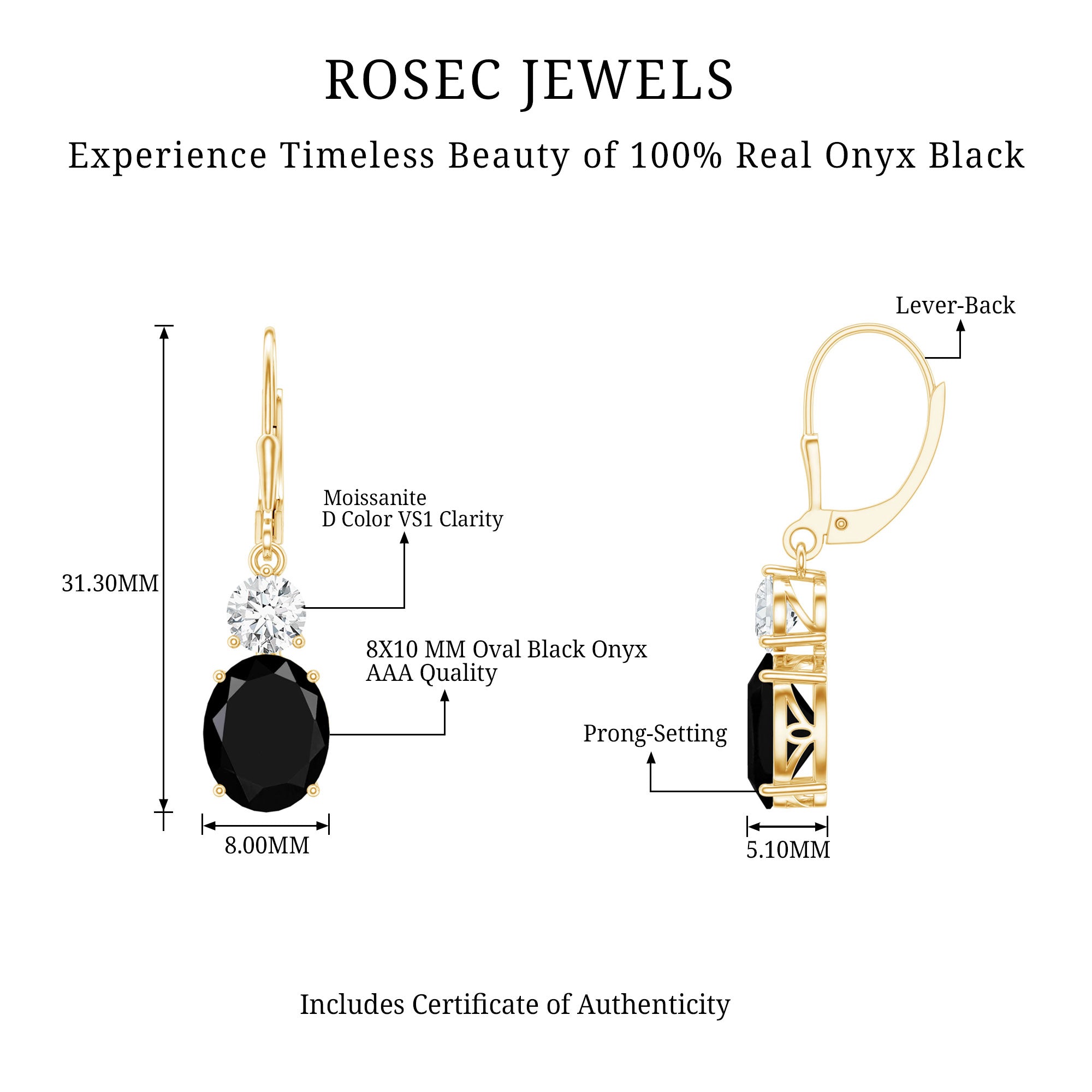 Natural 8X10mm Oval Black Onyx Drop Earrings with Lever Back AAA - Rosec Jewels