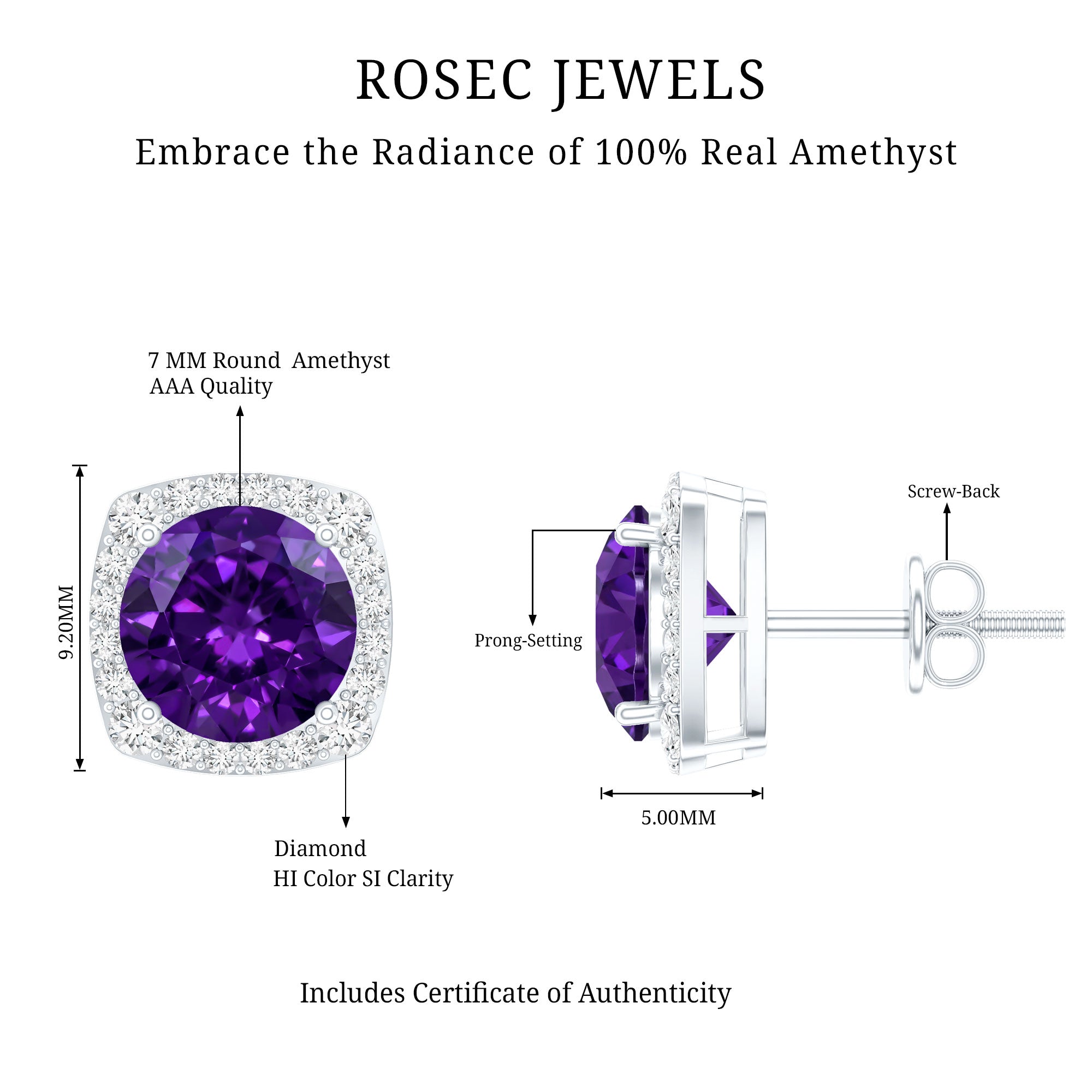 Classic Round Amethyst Halo Stud Earrings with Diamond AAA - Rosec Jewels
