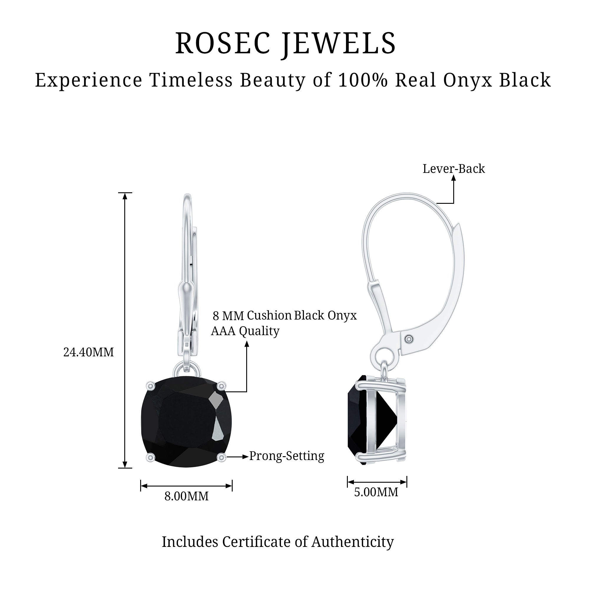 Black Onyx Solitaire Drop Lever Back Earrings AAA - Rosec Jewels