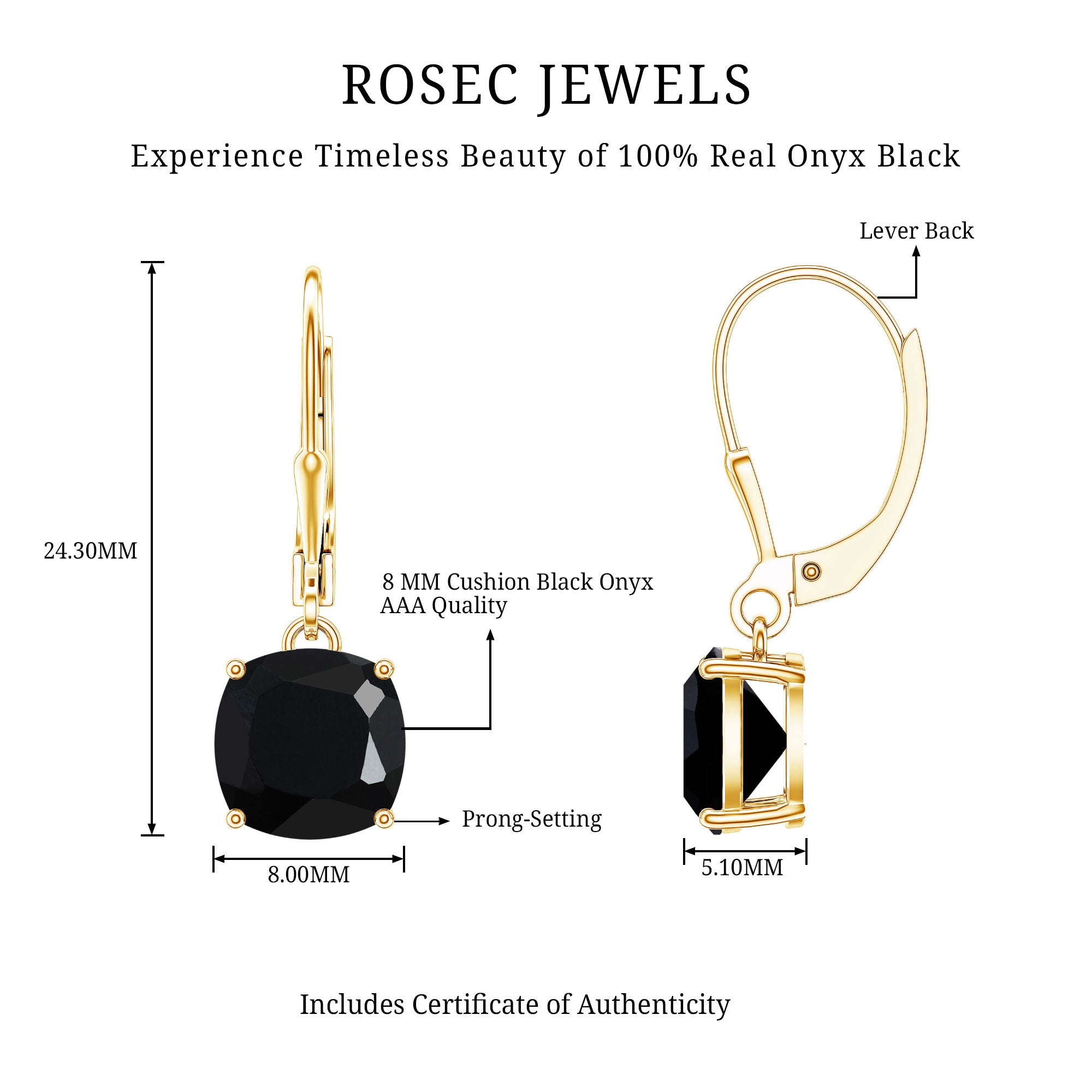 Black Onyx Solitaire Drop Lever Back Earrings AAA - Rosec Jewels