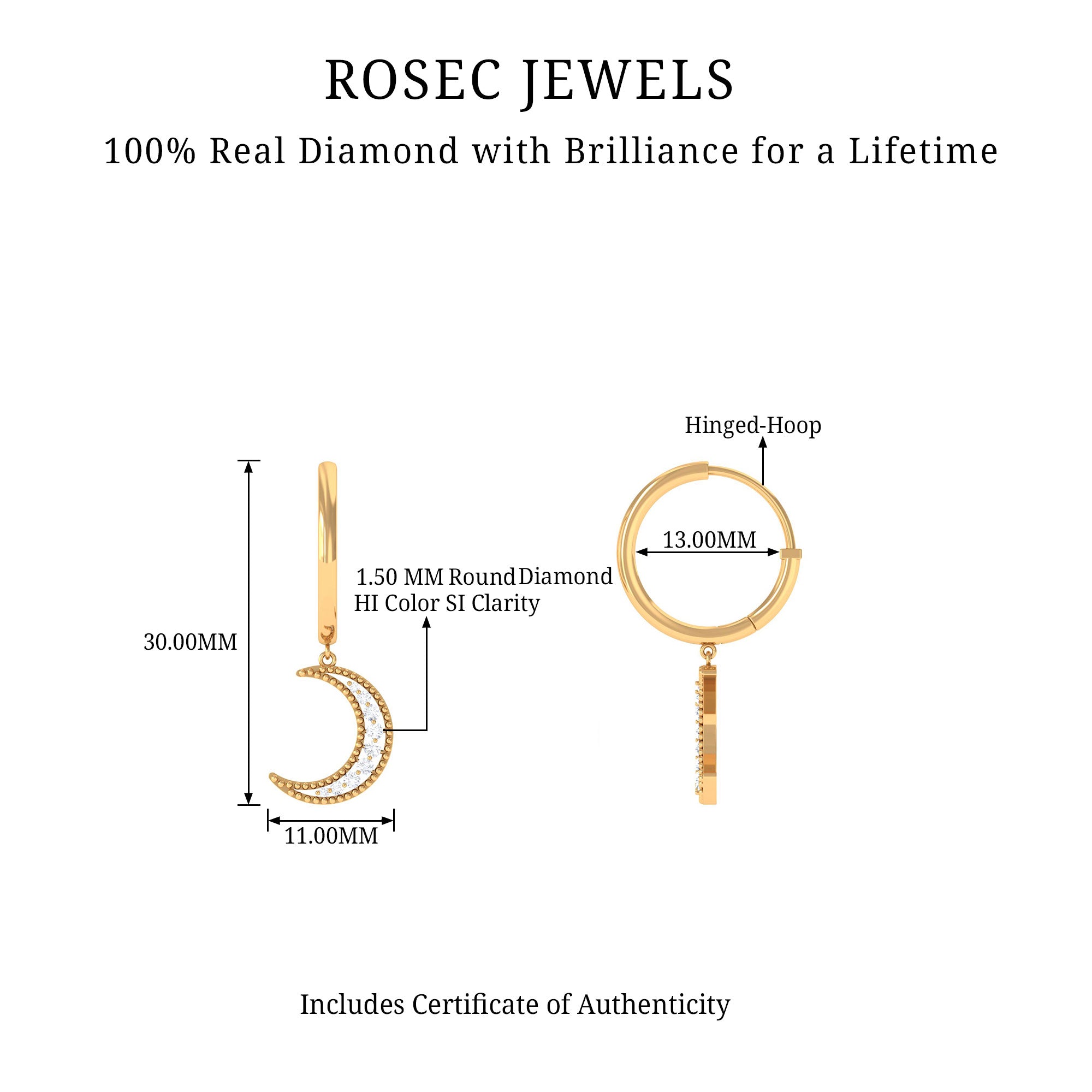 Rosec Jewels-Diamond Moon Drop Hoop Earrings