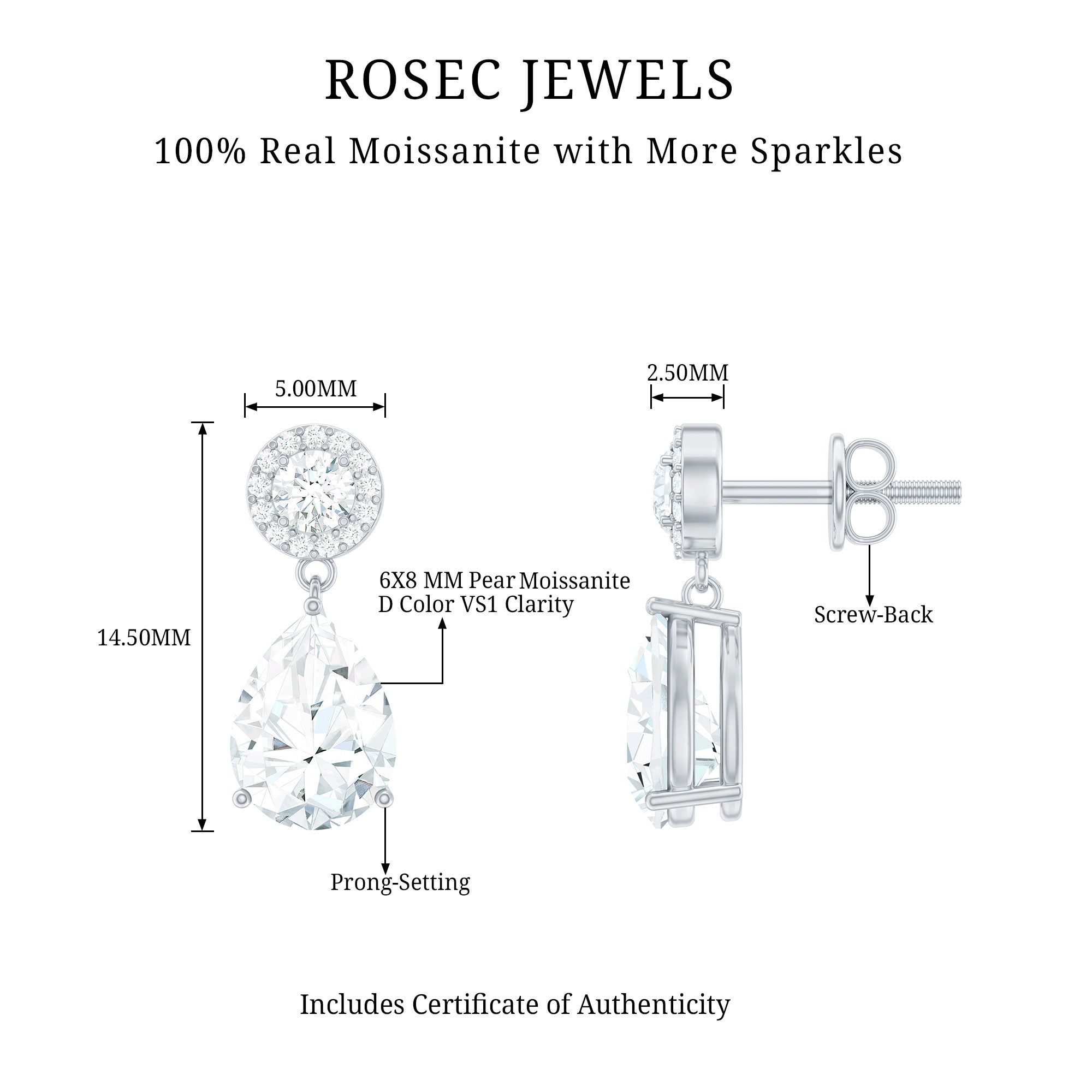 Classic Moissanite Bridal Drop Earrings D-VS1 - Rosec Jewels