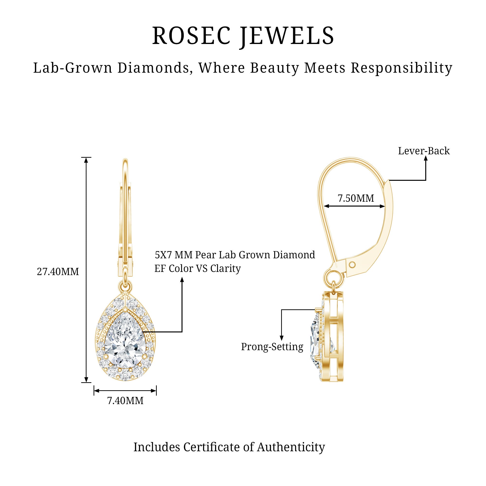 Lab Grown Diamond Drop Dangle Earrings With Lever Back Lab - ( EF-VS ) - Rosec Jewels