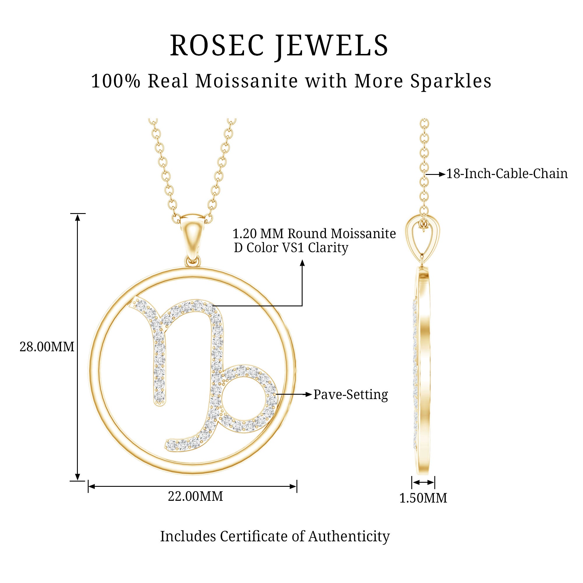 Certified Moissanite Capricorn Zodiac Necklace D-VS1 - Rosec Jewels