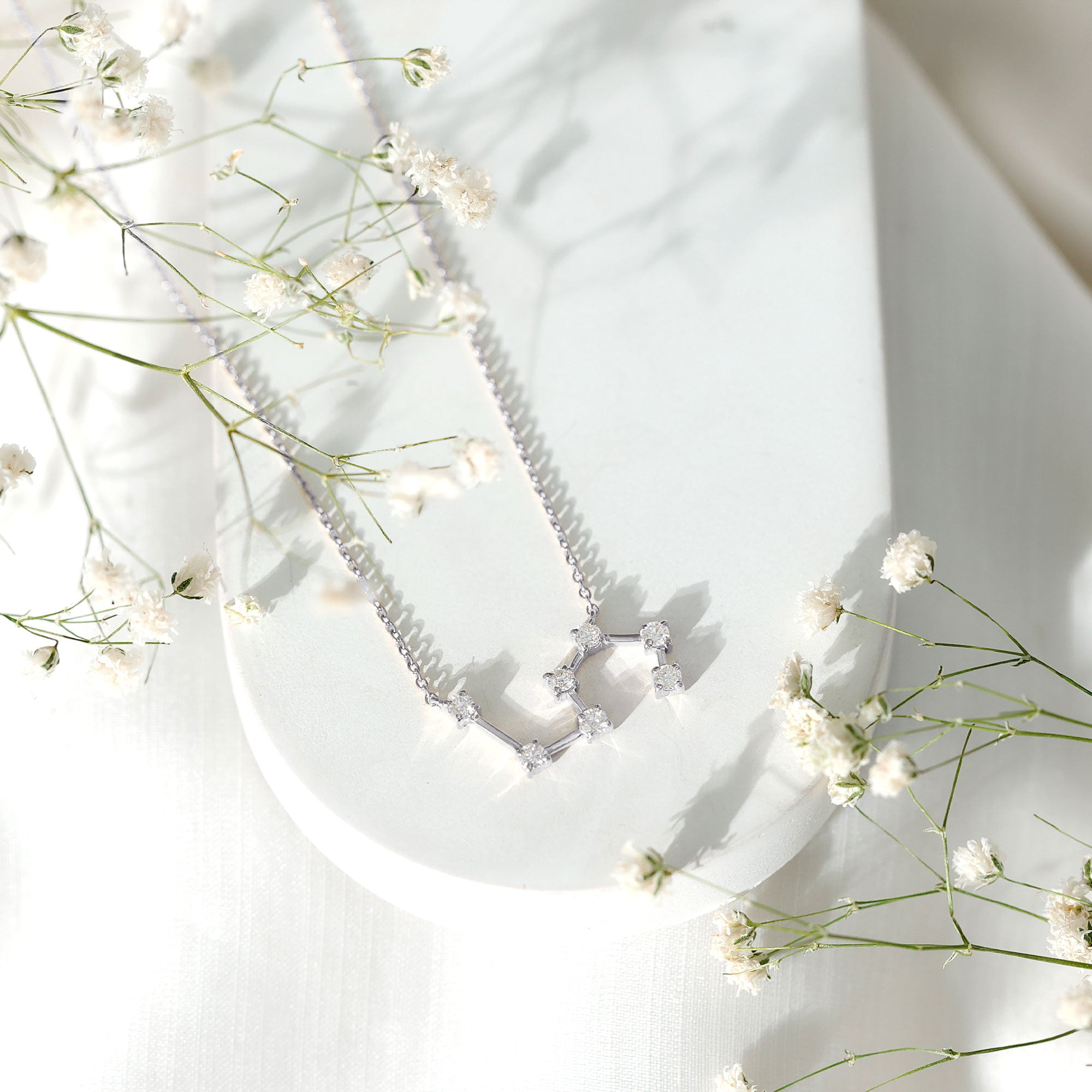 Moissanite Constellation Leo Zodiac Sign Necklace D-VS1 - Rosec Jewels