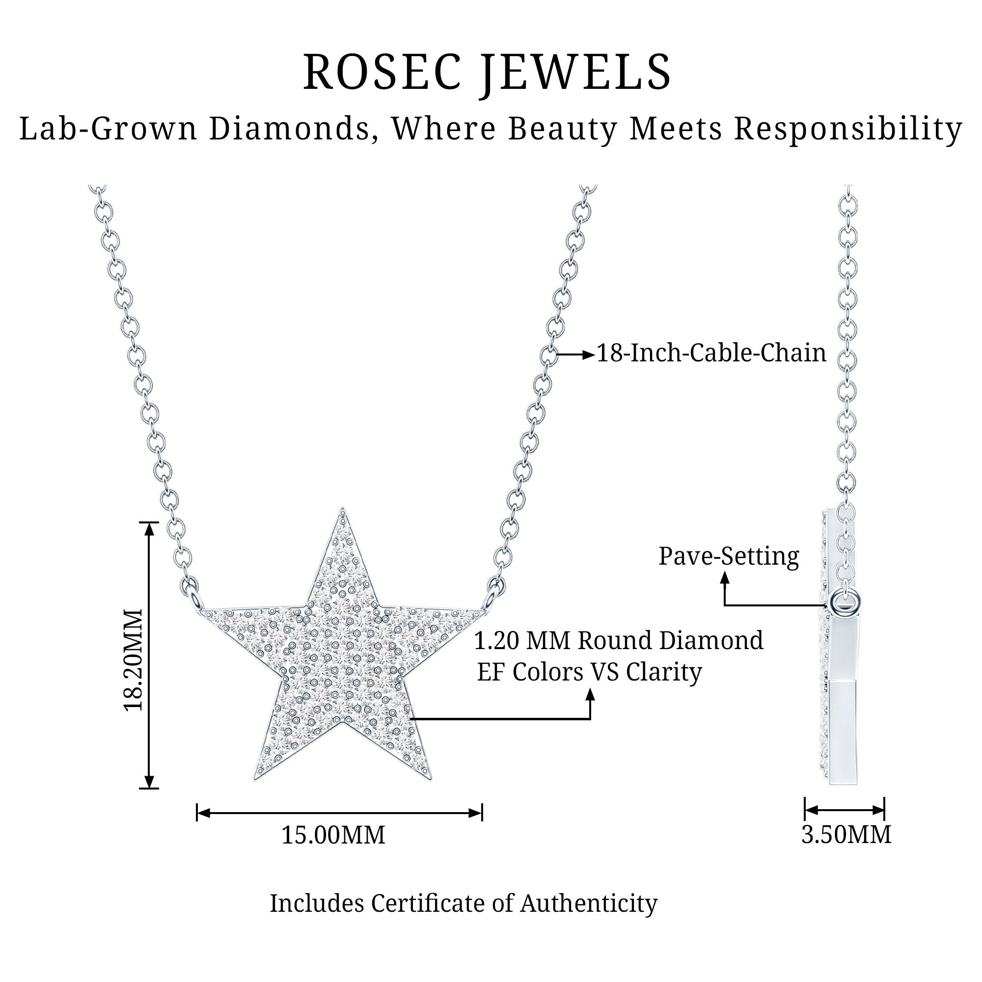 Diamond Star Pendant Necklace in Pave Setting Lab - ( EF-VS ) - Rosec Jewels
