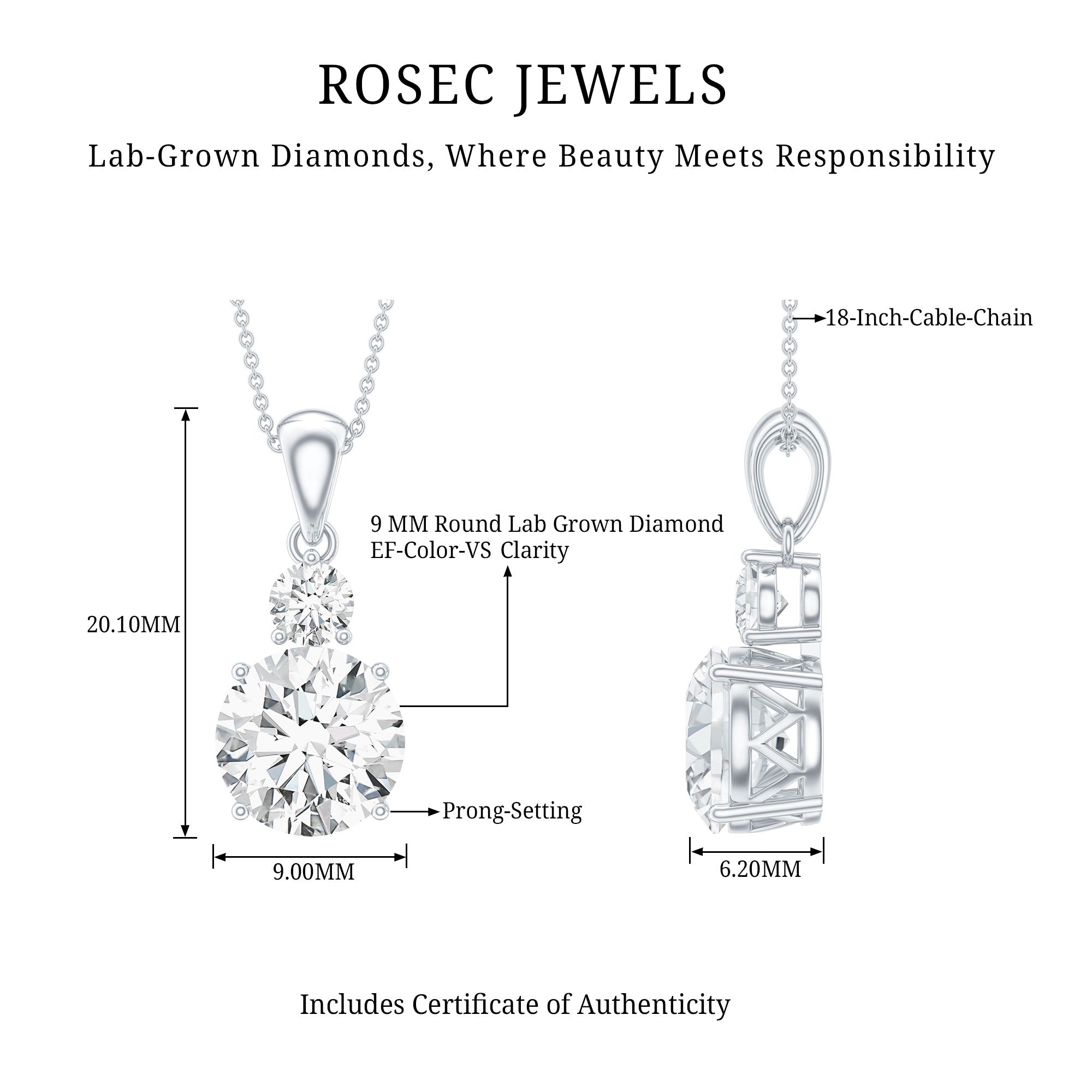 Brilliant Cut Moissanite Two Stone Necklace With Chain D-VS1 - Rosec Jewels