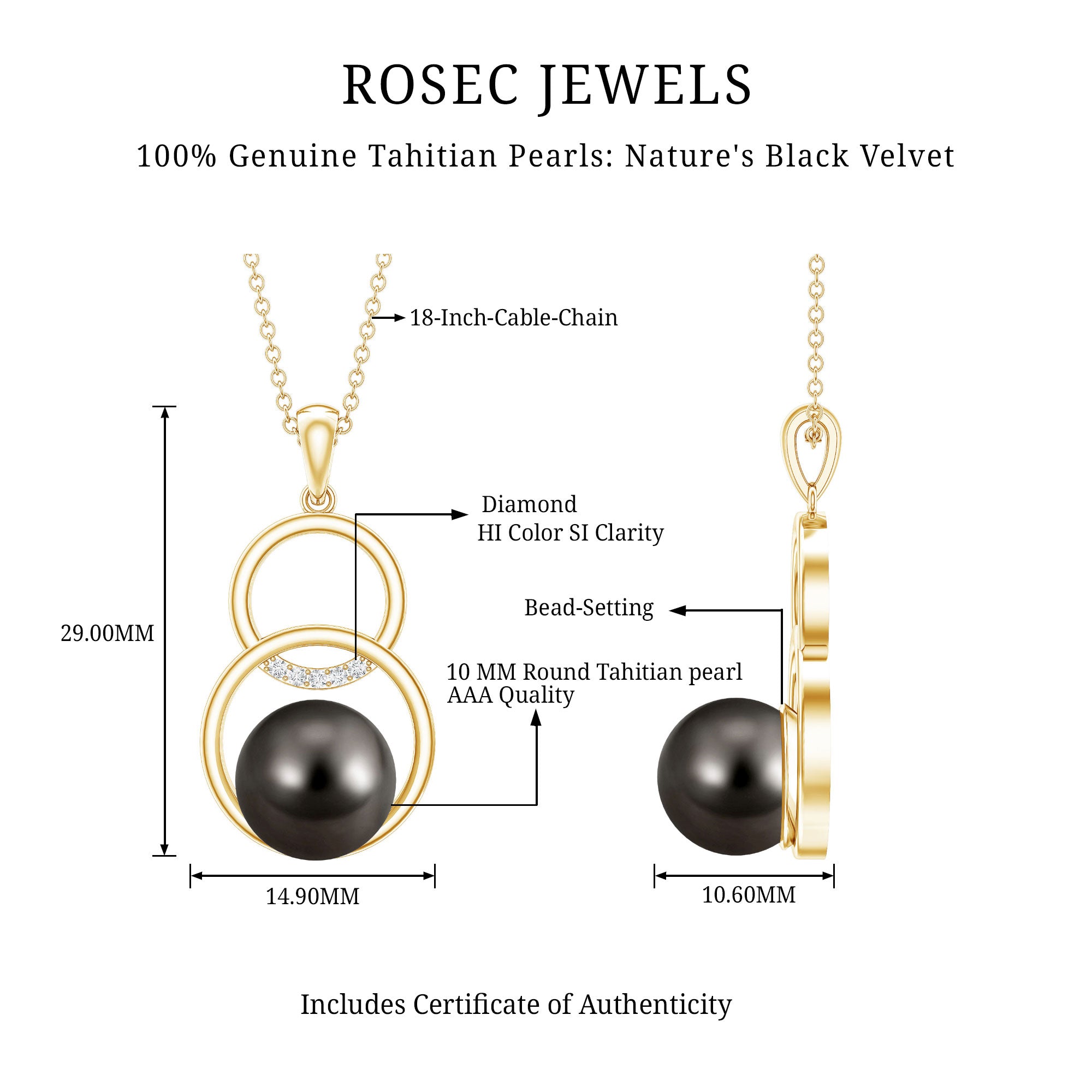 Handpicked Black Pearl Circle Necklace with Diamond AAA - Rosec Jewels