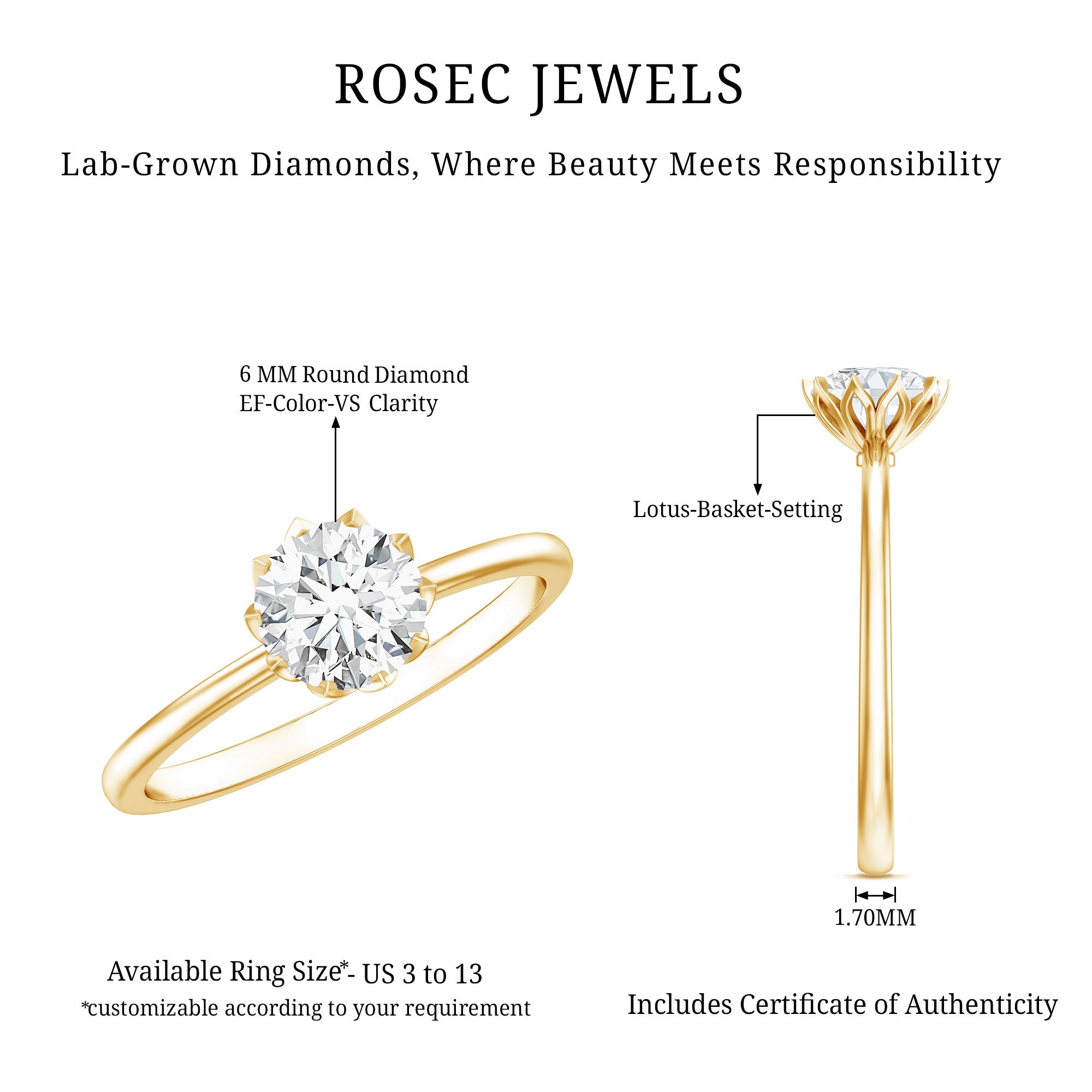1 Carat Lab Diamond Engagement Ring with IGI Certificate Lab - ( E-VS1 ) - Rosec Jewels