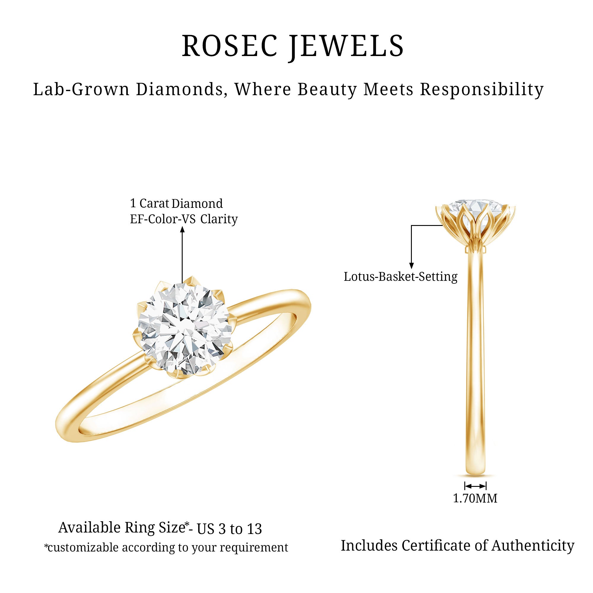 1 Carat Lab Diamond Engagement Ring with IGI Certificate Lab - ( E-VS1 ) - Rosec Jewels