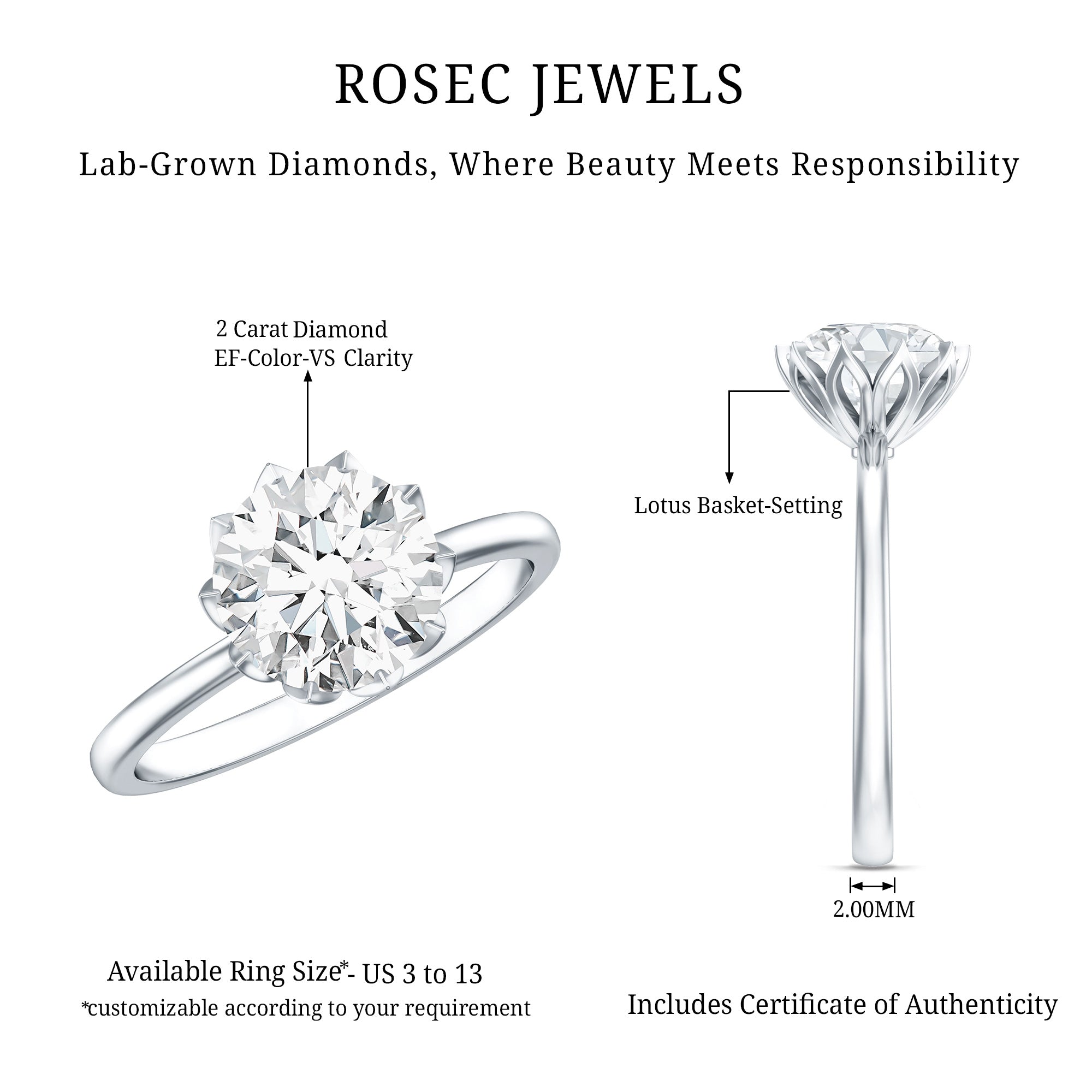 IGI Certified 2 Carat Lab Grown Diamond Lotus Engagement Ring Lab - ( E-VS1 ) - Rosec Jewels