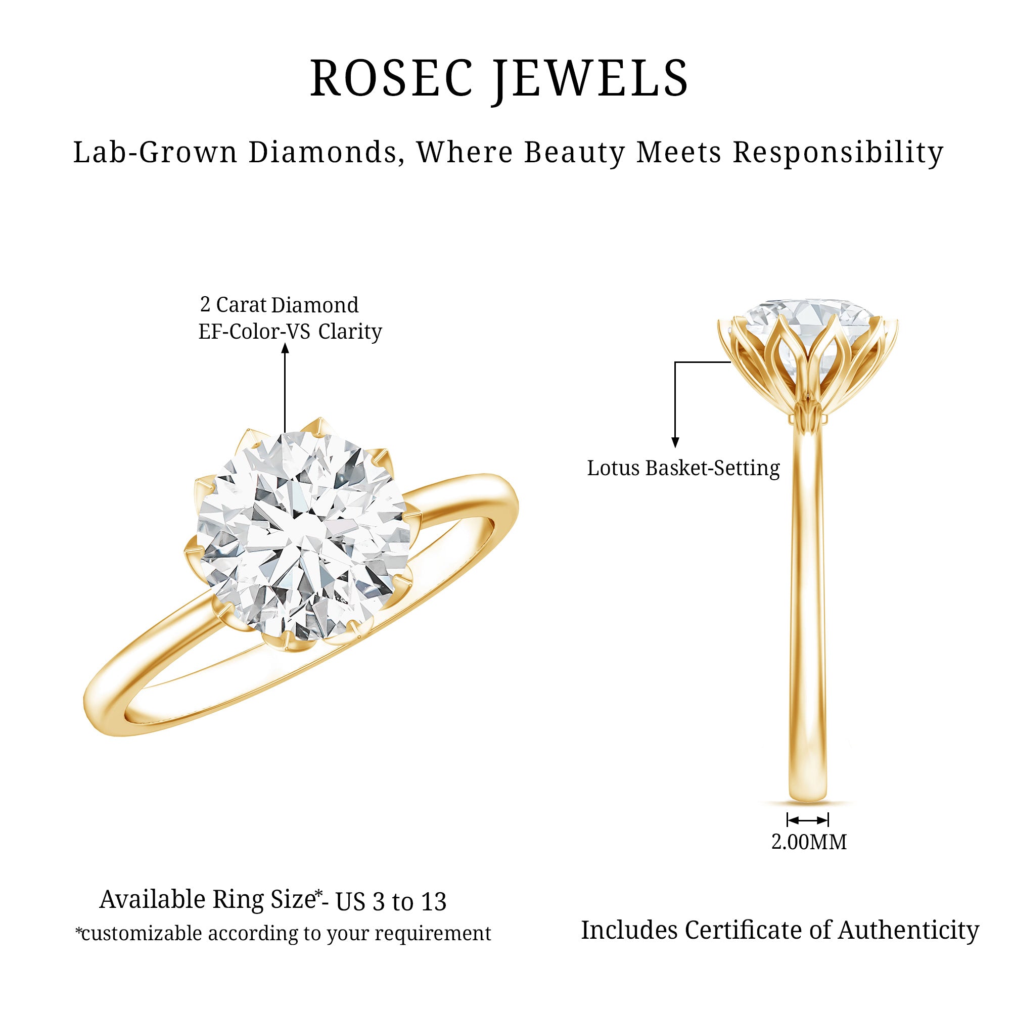 IGI Certified 2 Carat Lab Grown Diamond Lotus Engagement Ring Lab - ( E-VS1 ) - Rosec Jewels