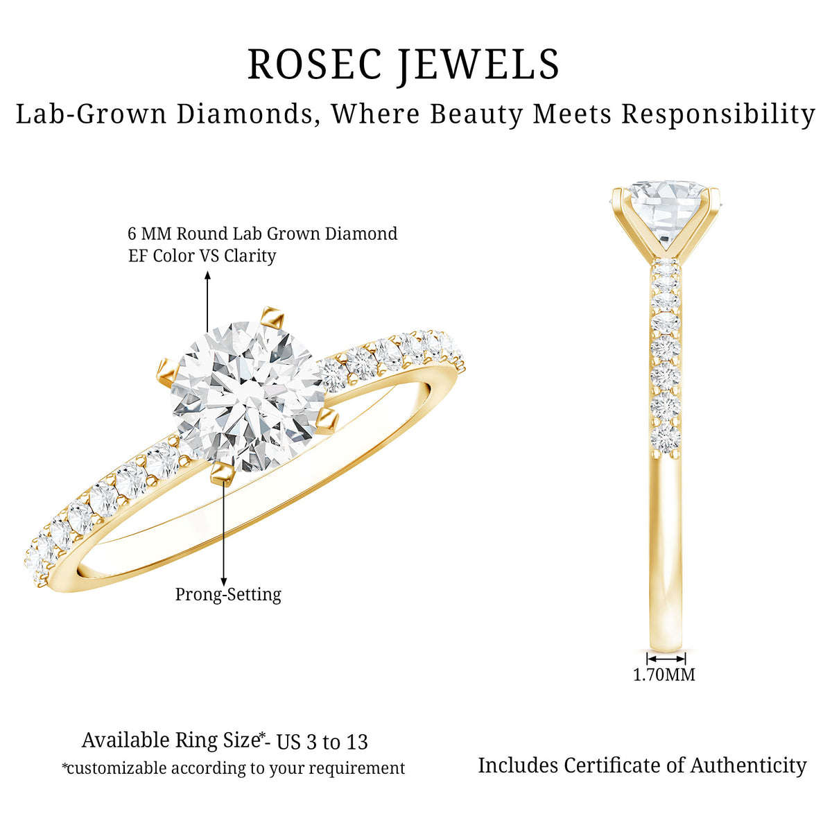IGI Certified Lab Created Diamond 1 Carat Engagement Ring Lab - ( E-VS1 ) - Rosec Jewels