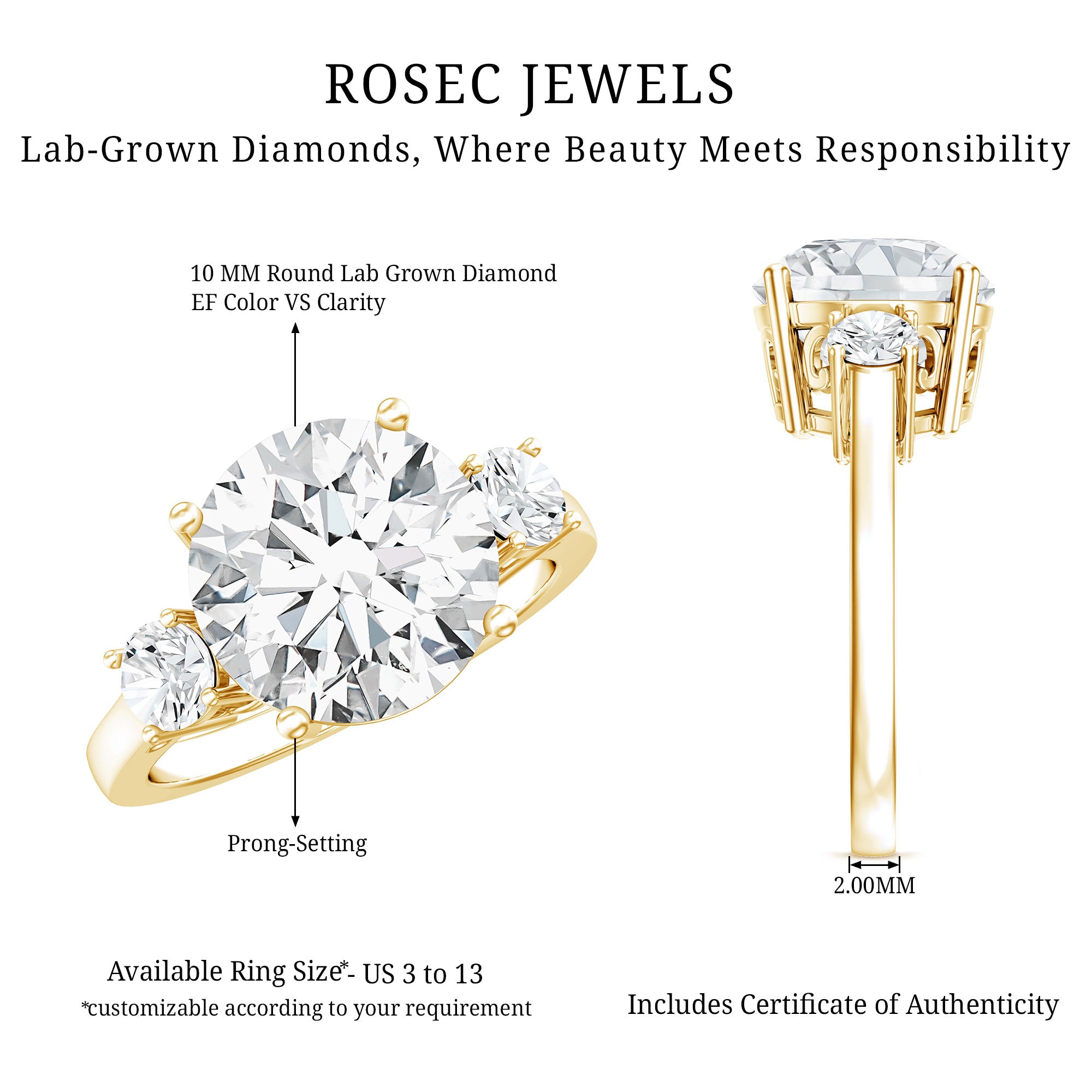 Lab Grown Diamond 3 Stone Engagement Ring With IGI Certificate Lab - ( E-VS1 ) - Rosec Jewels