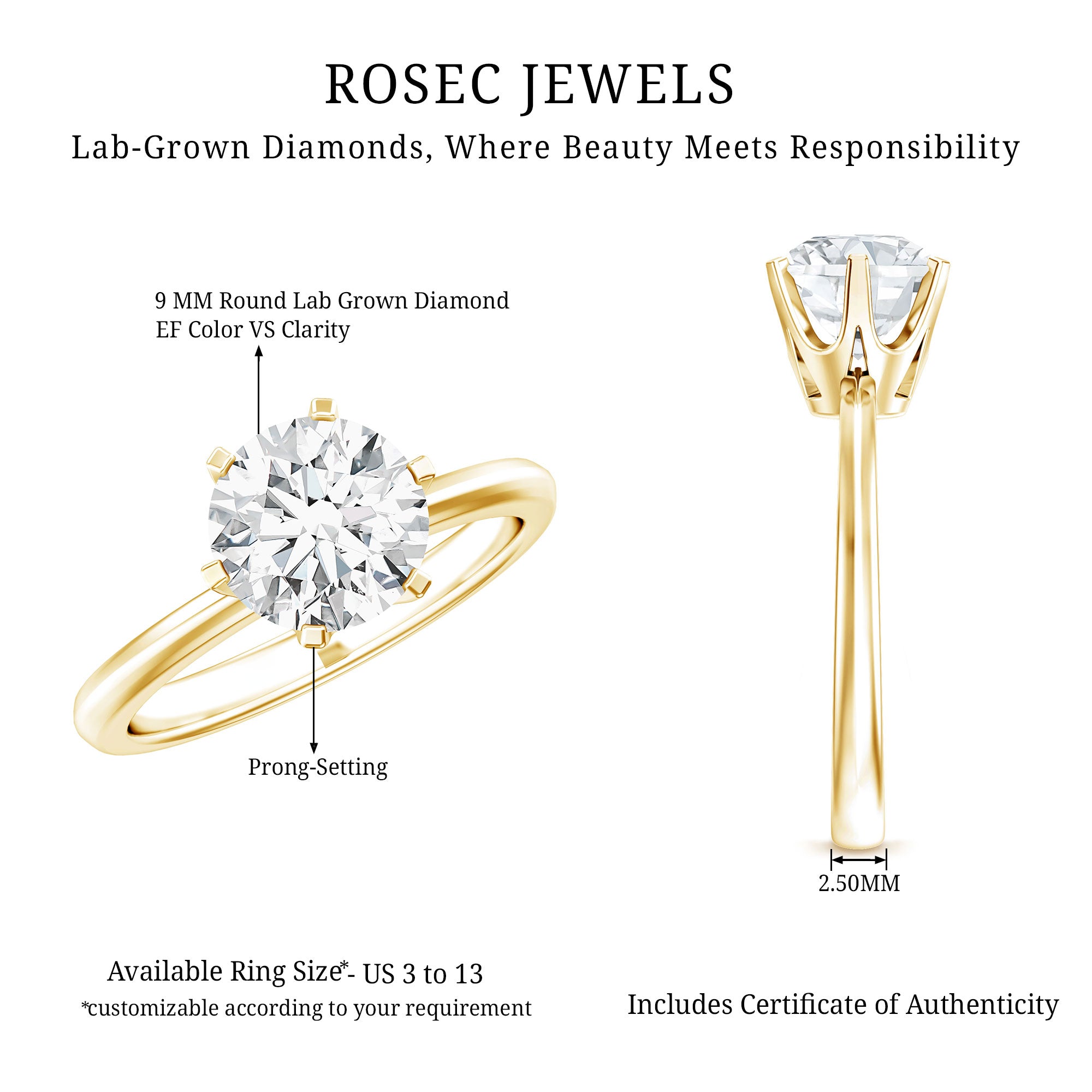 3 Carat IGI Certified Lab Grown Diamond Round Engagement Ring Lab - ( E-VS1 ) - Rosec Jewels