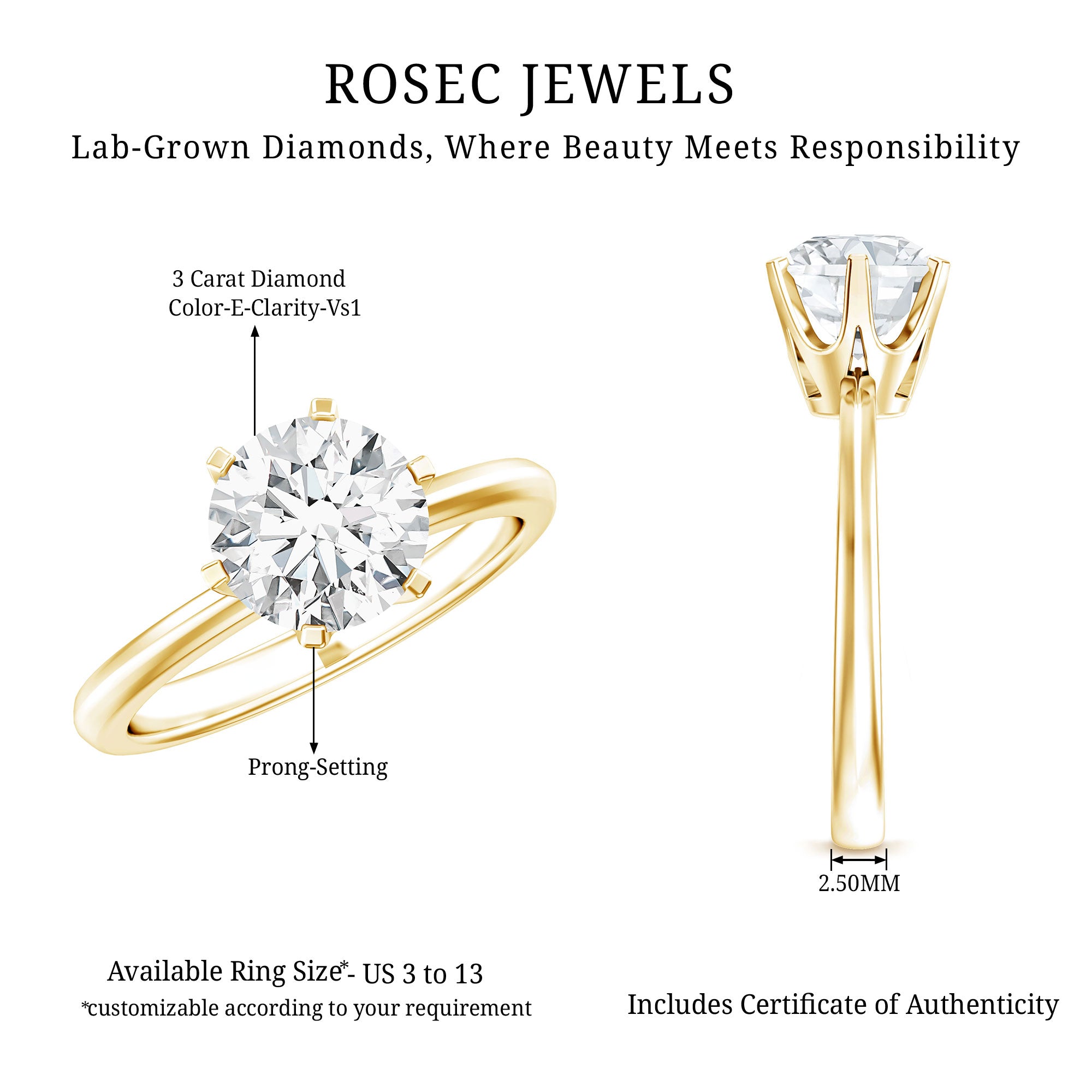 3 Carat IGI Certified Lab Grown Diamond Round Engagement Ring Lab - ( E-VS1 ) - Rosec Jewels