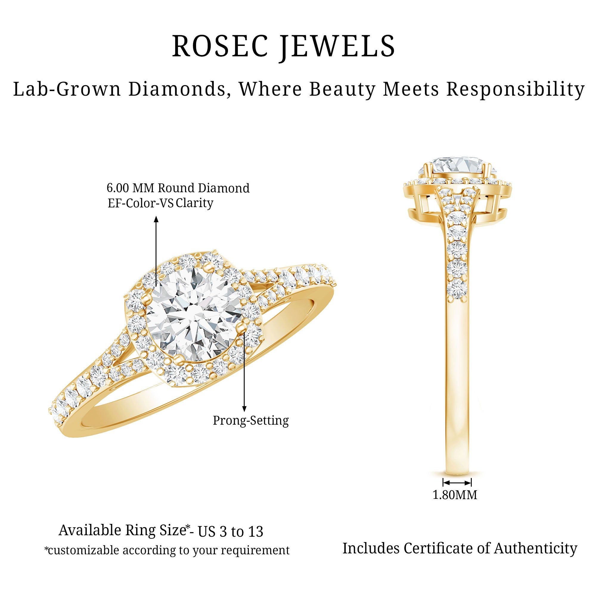 IGI Certified 1 Carat Lab Grown Diamond Halo Engagement Ring for Women Lab - ( E-VS1 ) - Rosec Jewels
