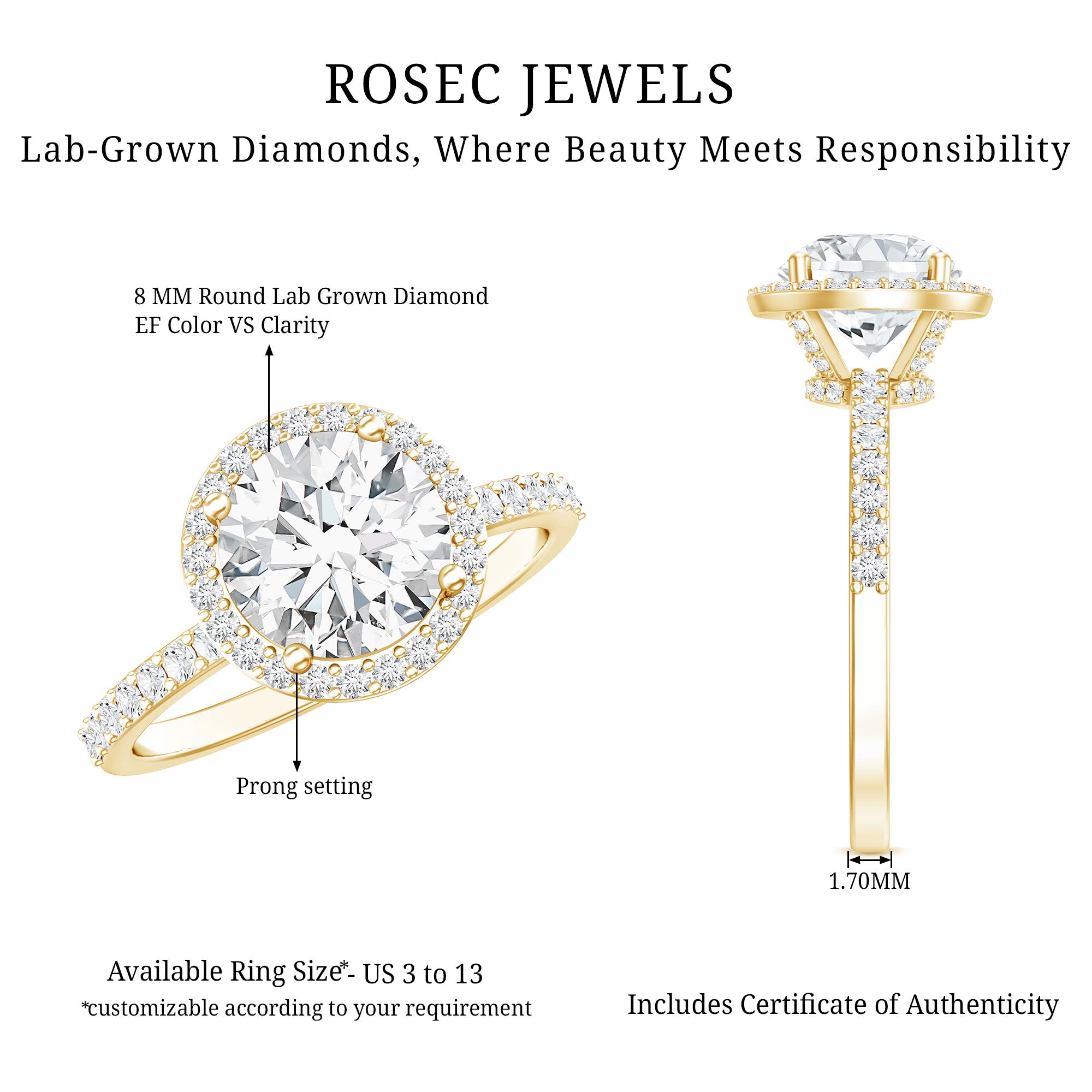 2 Carat Lab Grown Diamond Halo Engagement Ring with IGI Certificate Lab - ( E-VS1 ) - Rosec Jewels