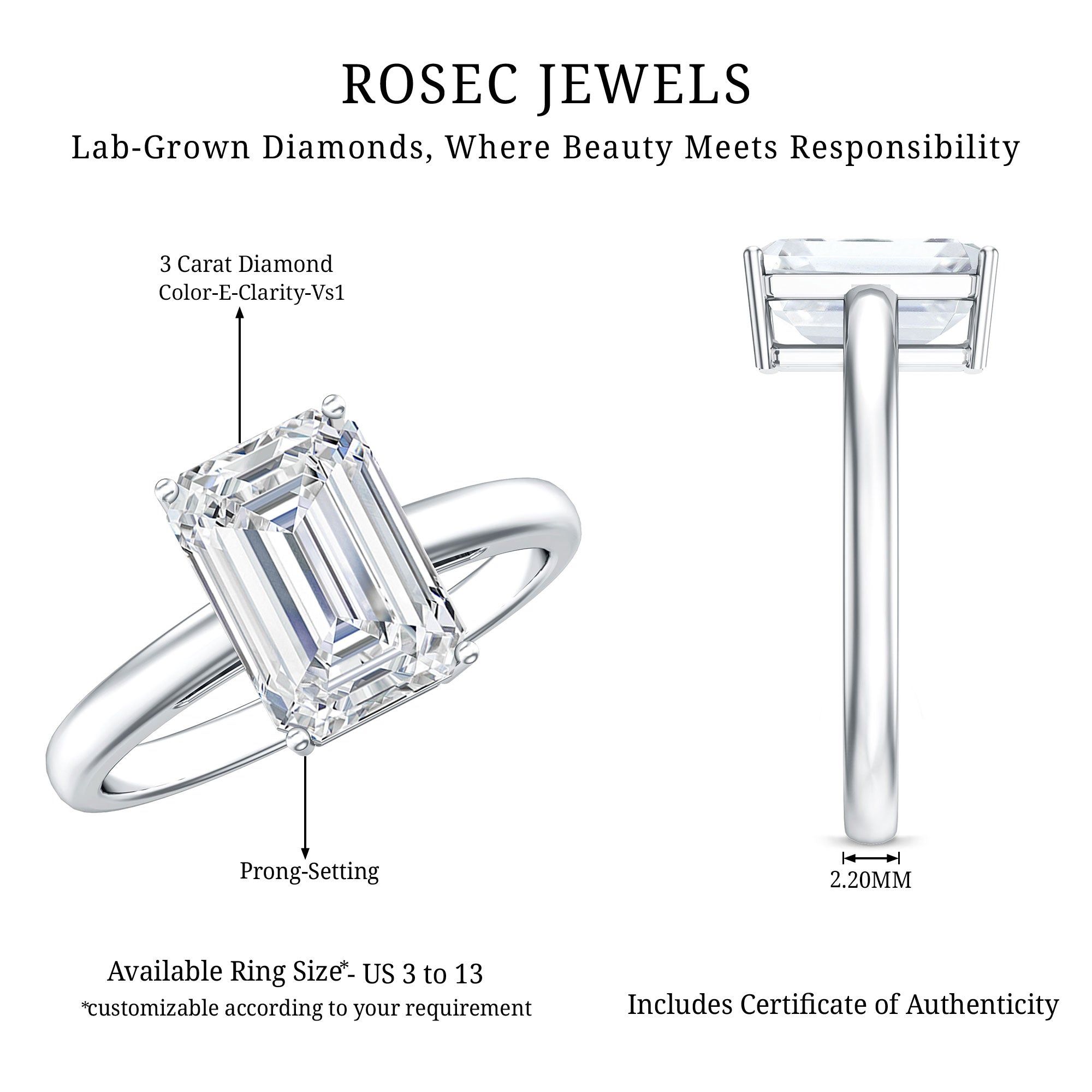 IGI Certified Emerald Cut Lab Grown Diamond 3 Carat Engagement Ring Lab - ( E-VS1 ) - Rosec Jewels