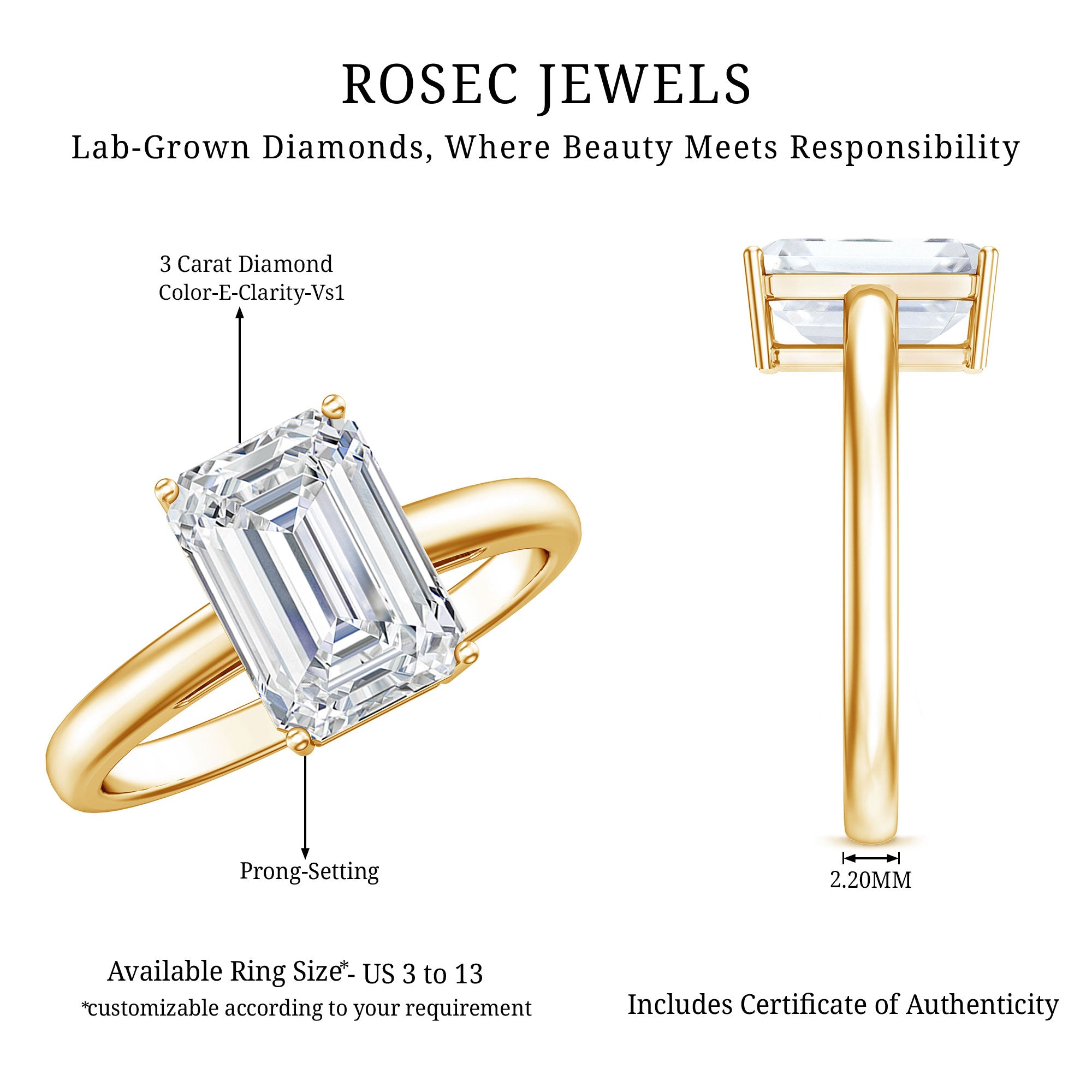 IGI Certified Emerald Cut Lab Grown Diamond 3 Carat Engagement Ring Lab - ( E-VS1 ) - Rosec Jewels