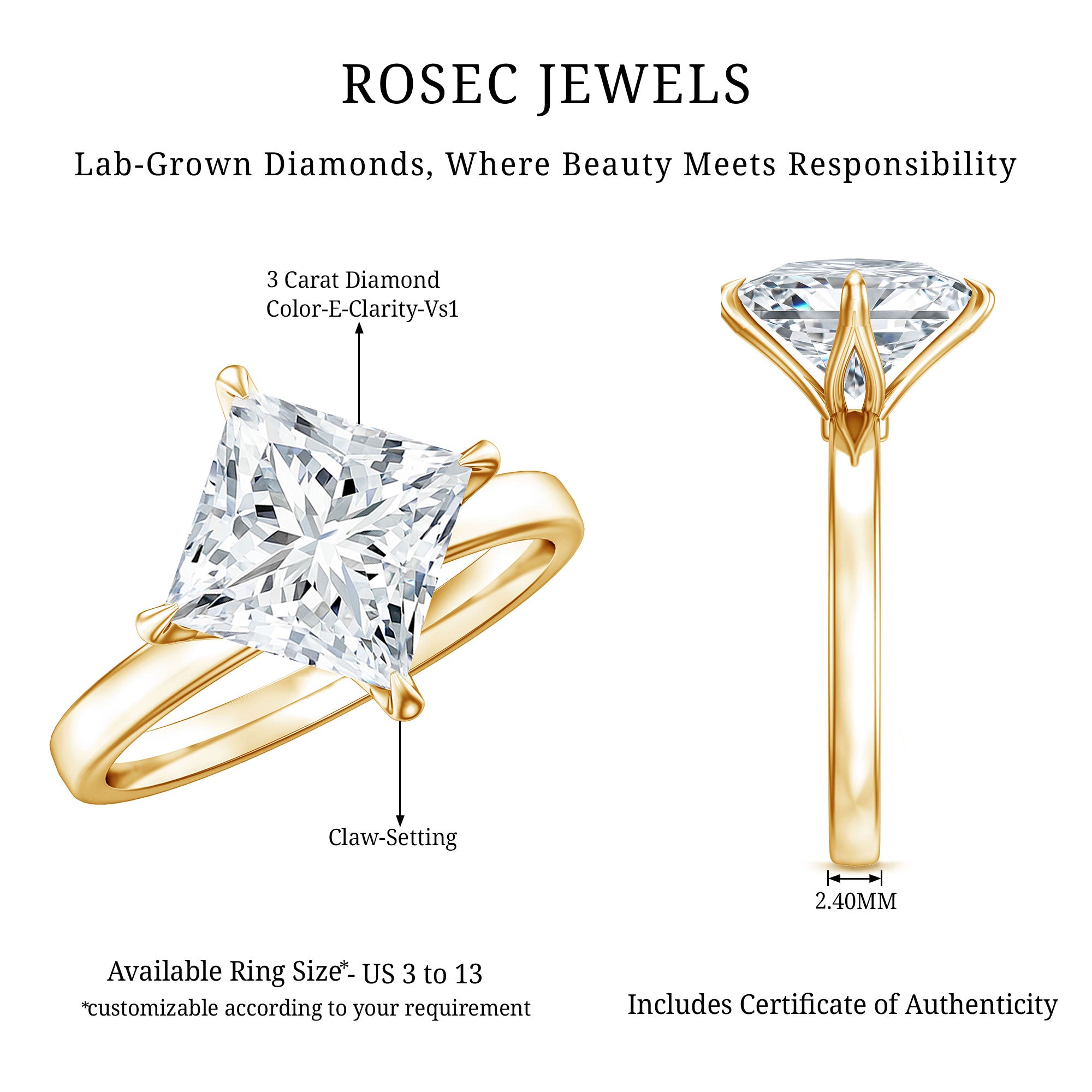 IGI Certified Lab Grown Diamond 3 Carat Princess Cut Engagement Ring Lab - ( E-VS1 ) - Rosec Jewels
