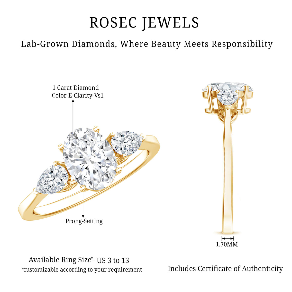 1 Carat Lab Grown Diamond Three Stone Engagement Ring with IGI Certificate Lab - ( E-VS1 ) - Rosec Jewels