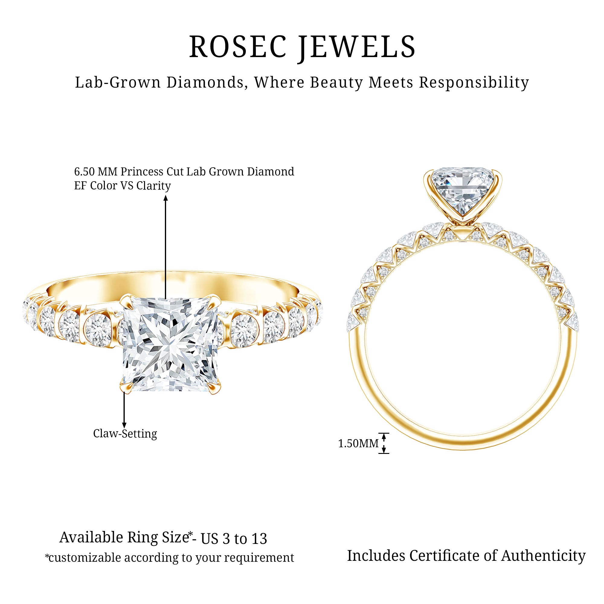 2 Carat IGI Certified Lab Grown Diamond Princess Cut Engagement Ring Lab - ( E-VS1 ) - Rosec Jewels