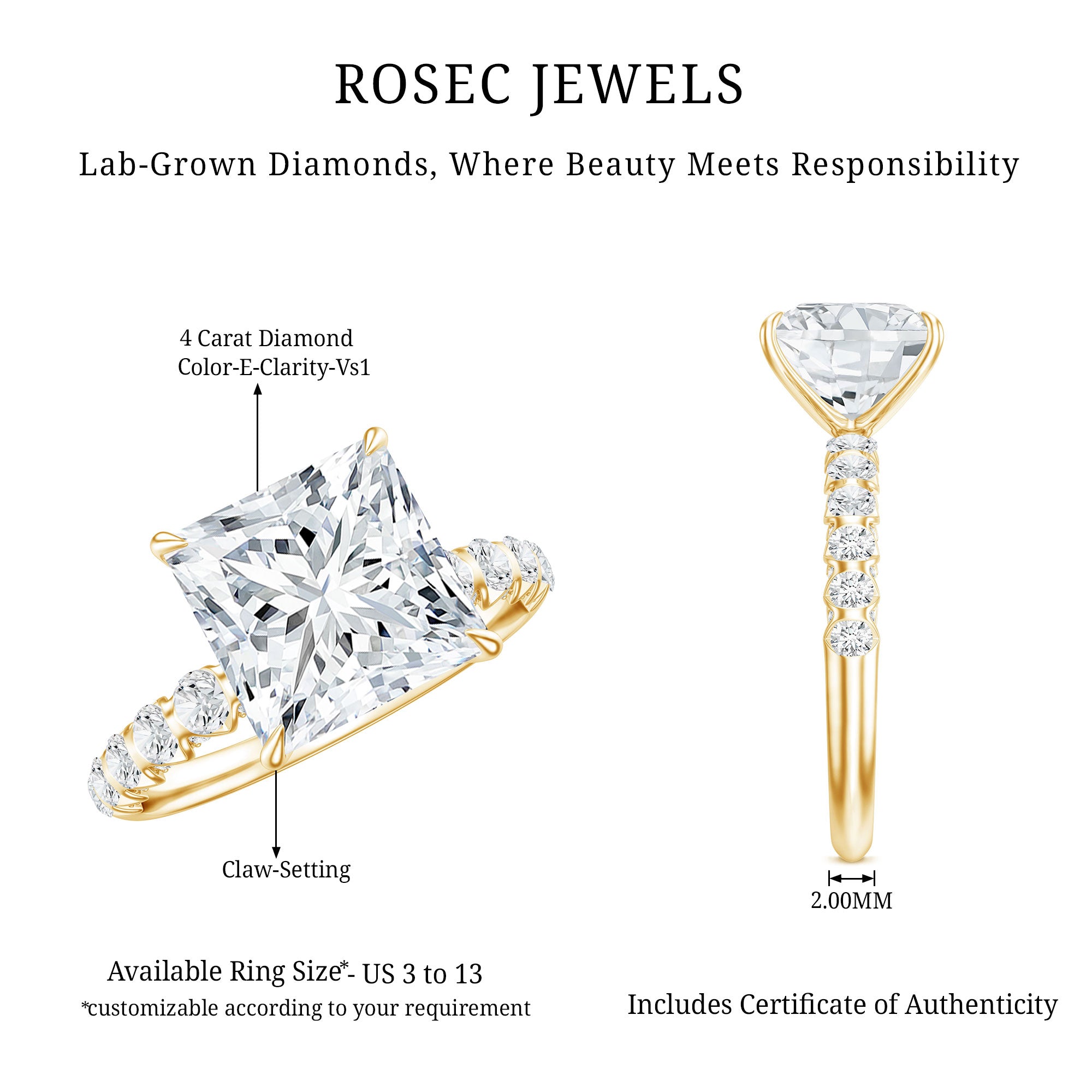 Princess Cut Lab Grown Diamond 4 Carat Engagement Ring IGI Certified Lab - ( E-VS1 ) - Rosec Jewels