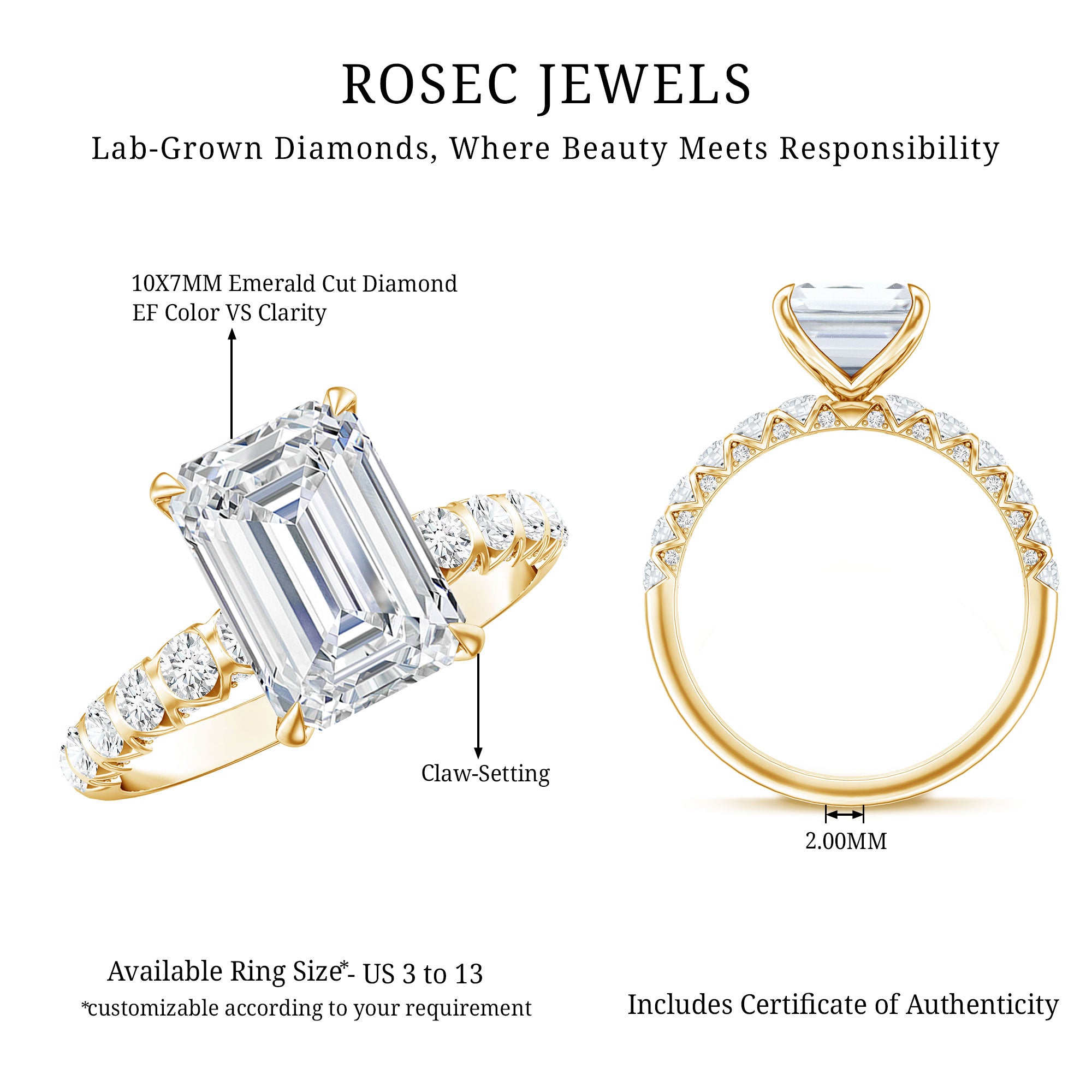 IGI Certified 3 Carat Emerald Cut Lab Grown Diamond Engagement Ring with Side Stones Lab - ( E-VS1 ) - Rosec Jewels